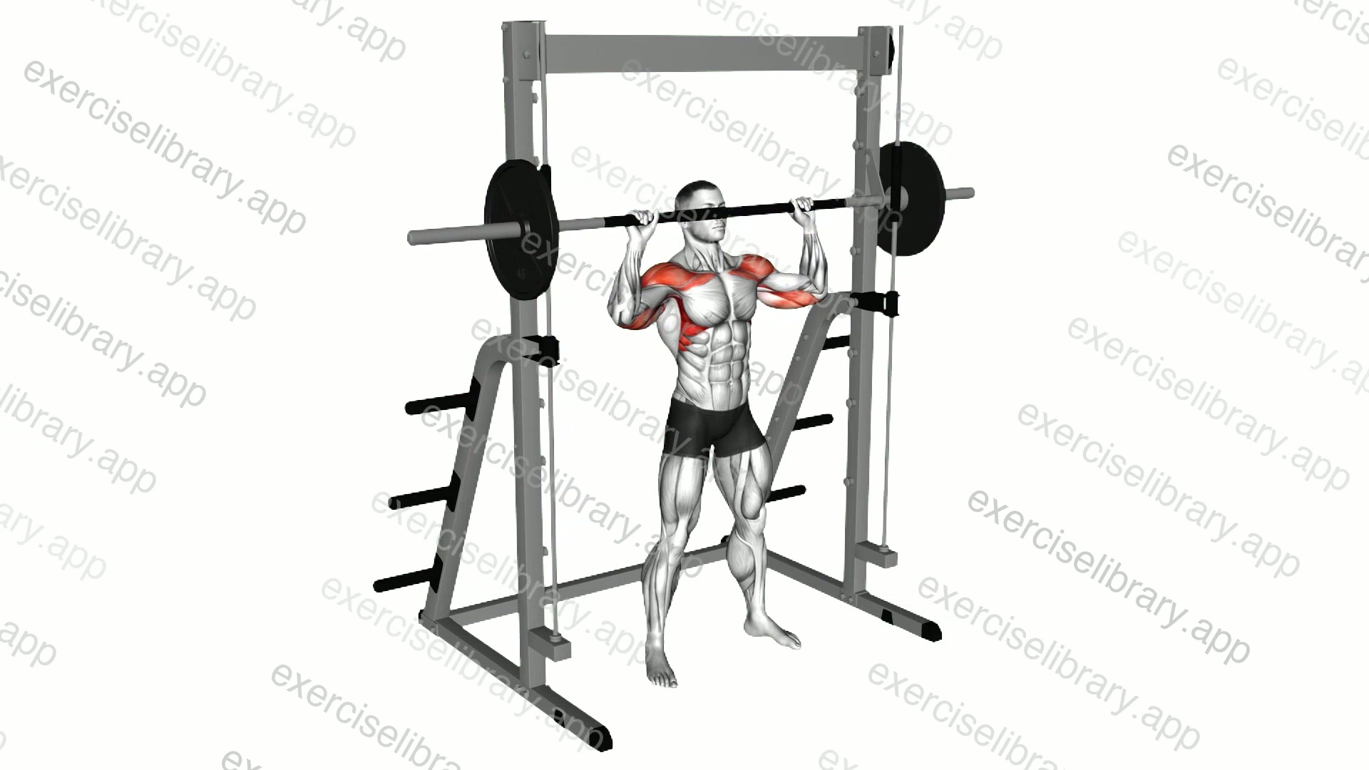 Smith Standing Military Press demonstration