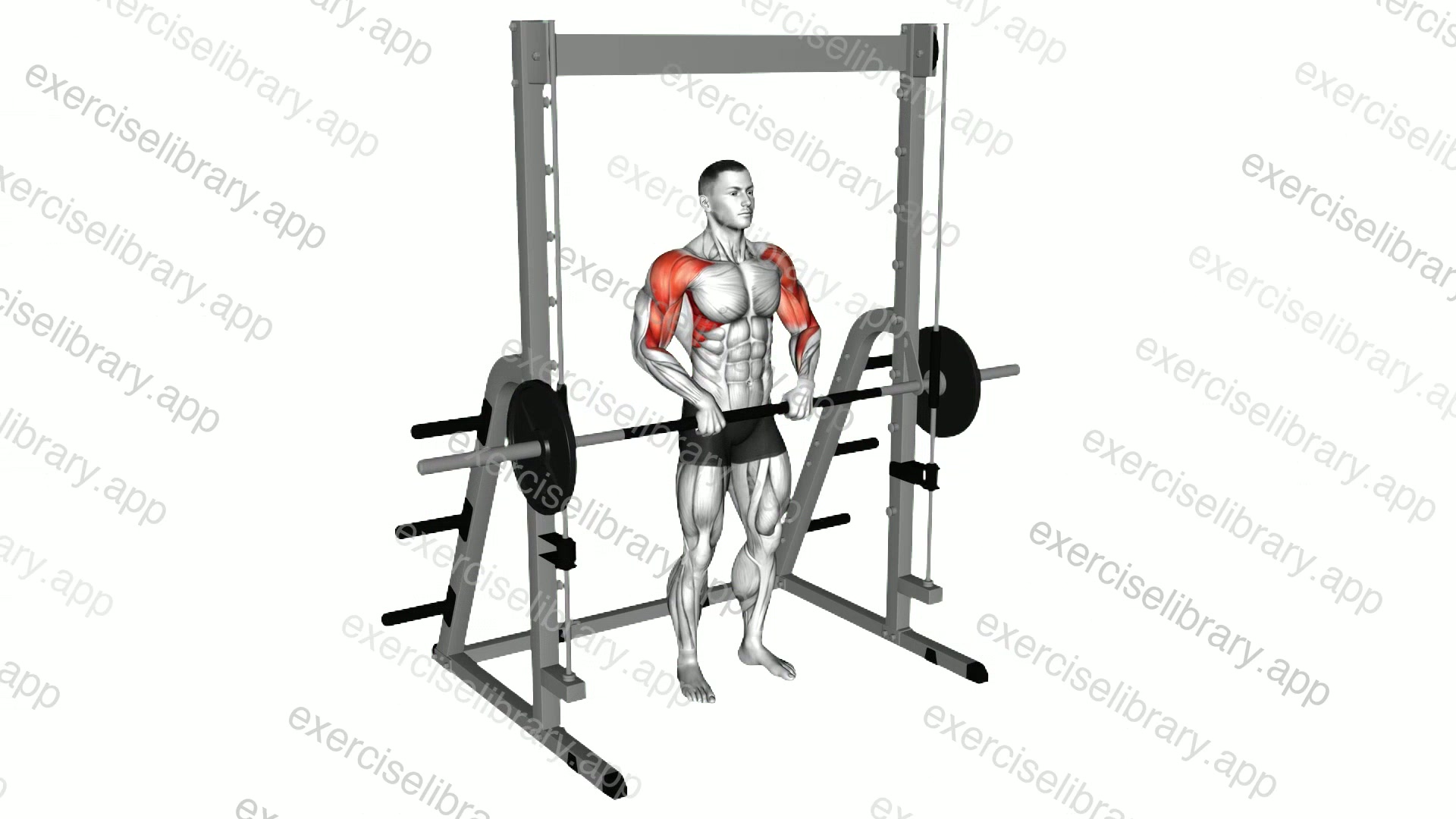 Smith Upright Row demonstration