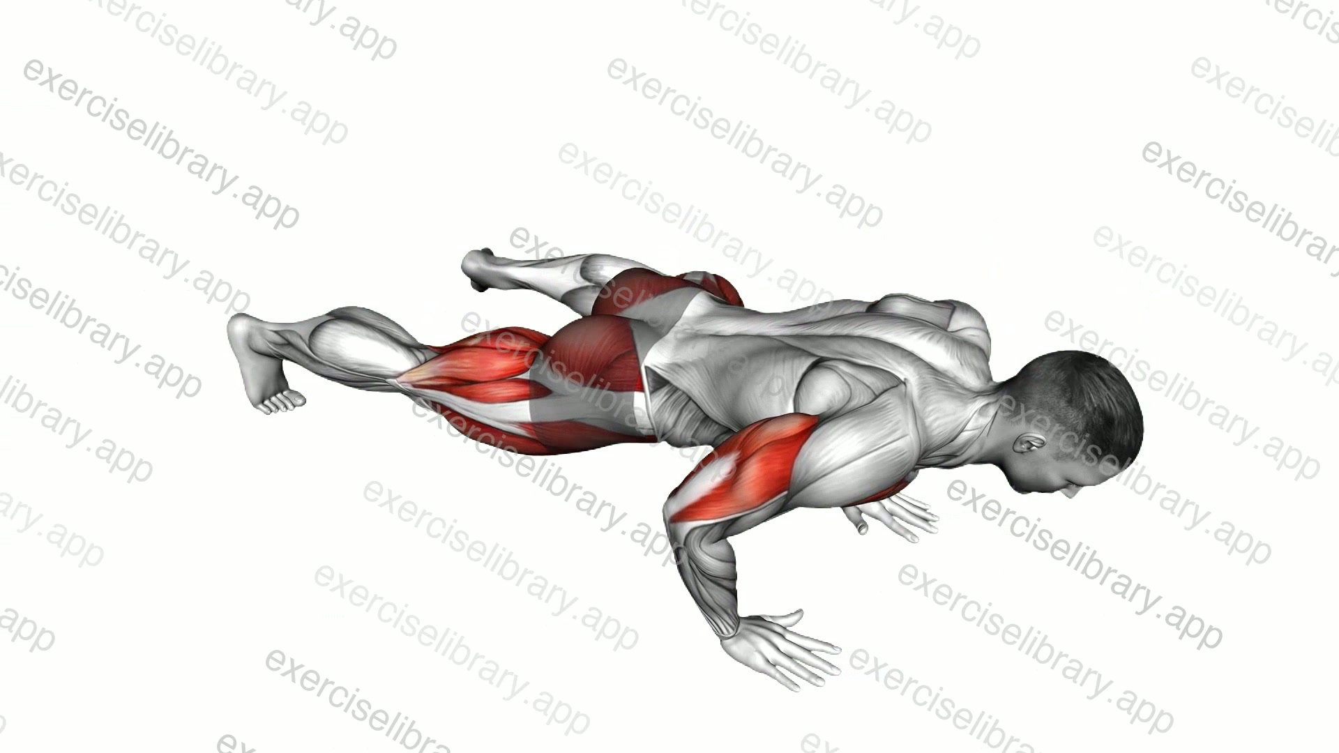 Spider Crawl Push-up demonstration