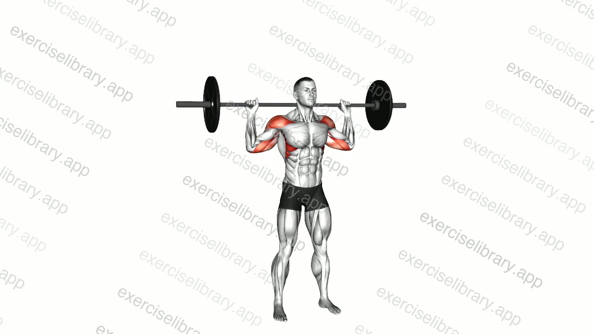 Standing Behind Neck Press demonstration