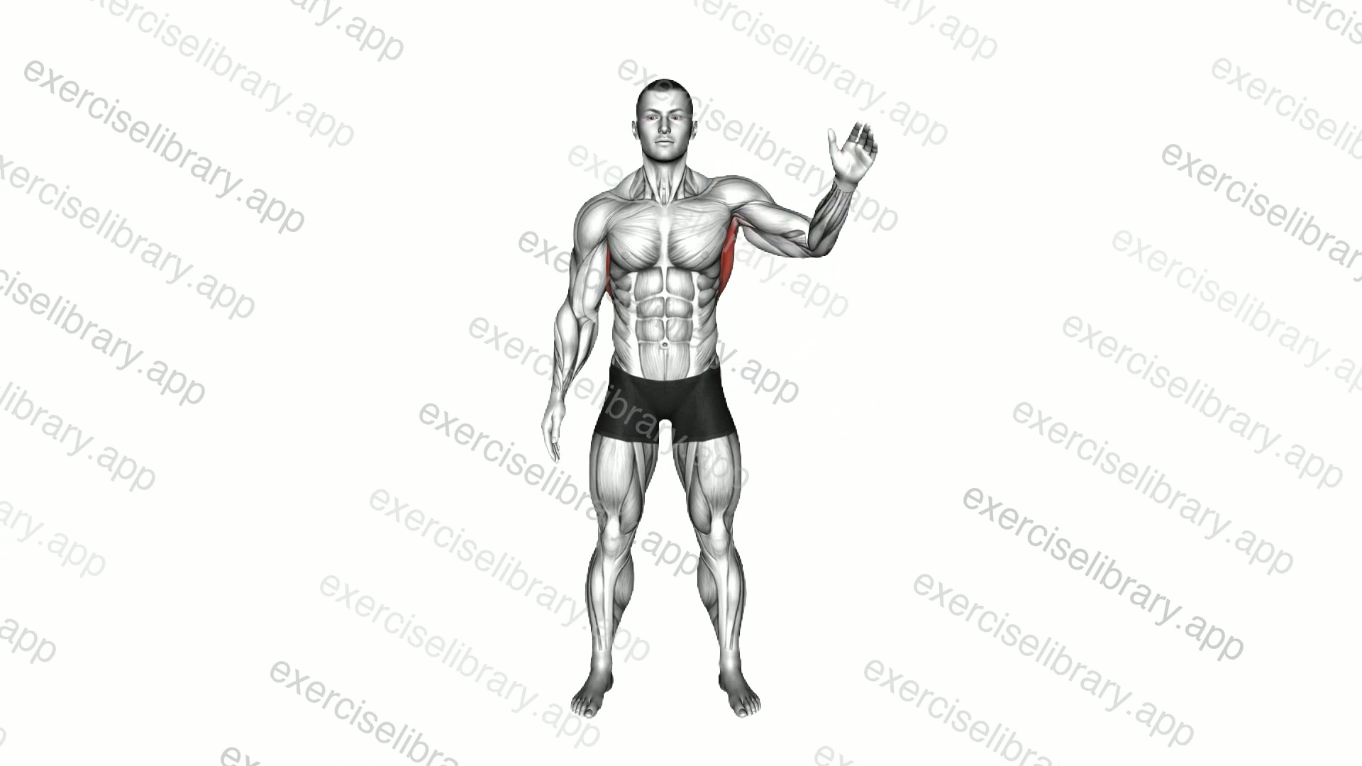 Standing Lateral Stretch demonstration