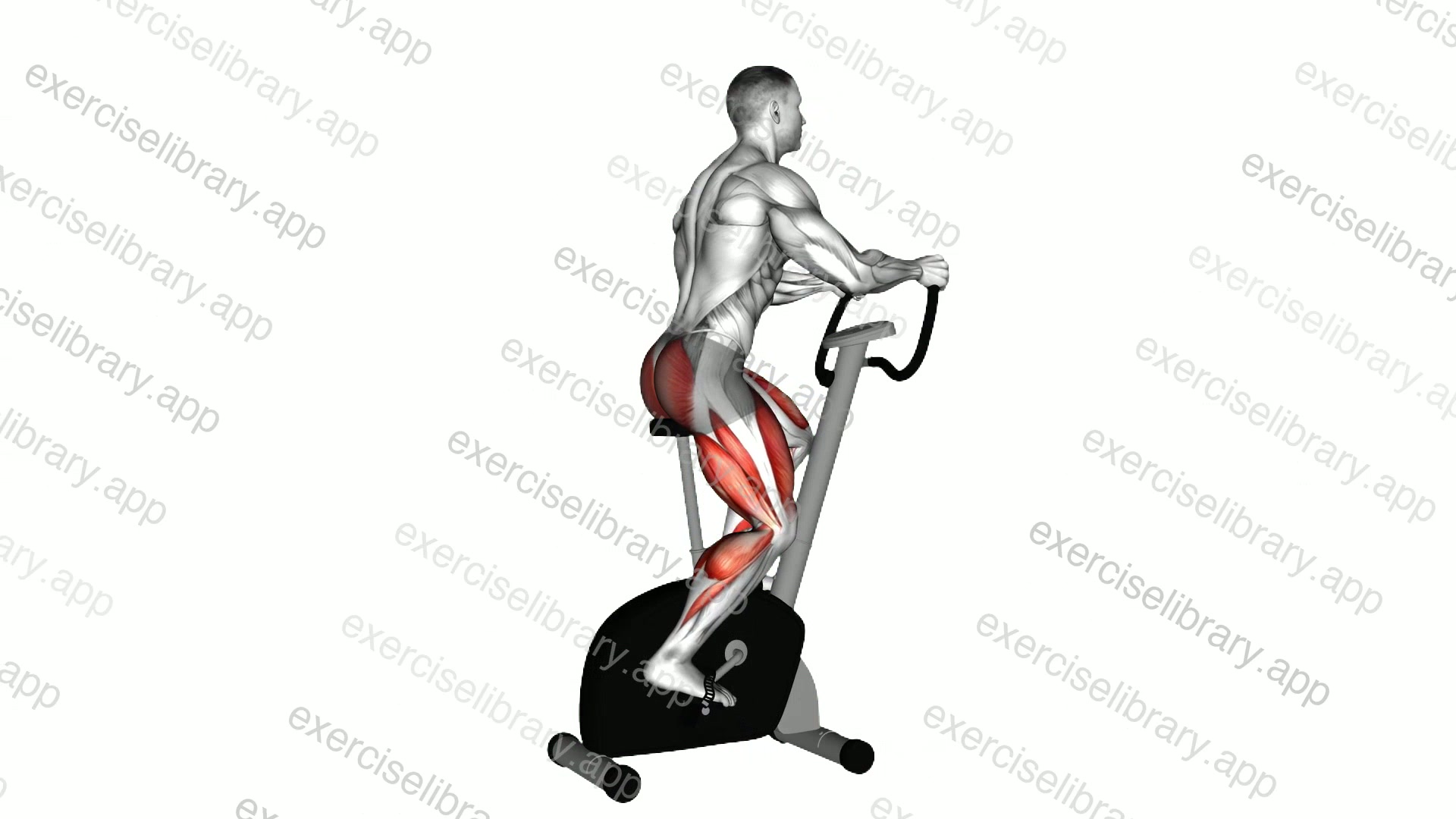 Stationary Bike Walk demonstration