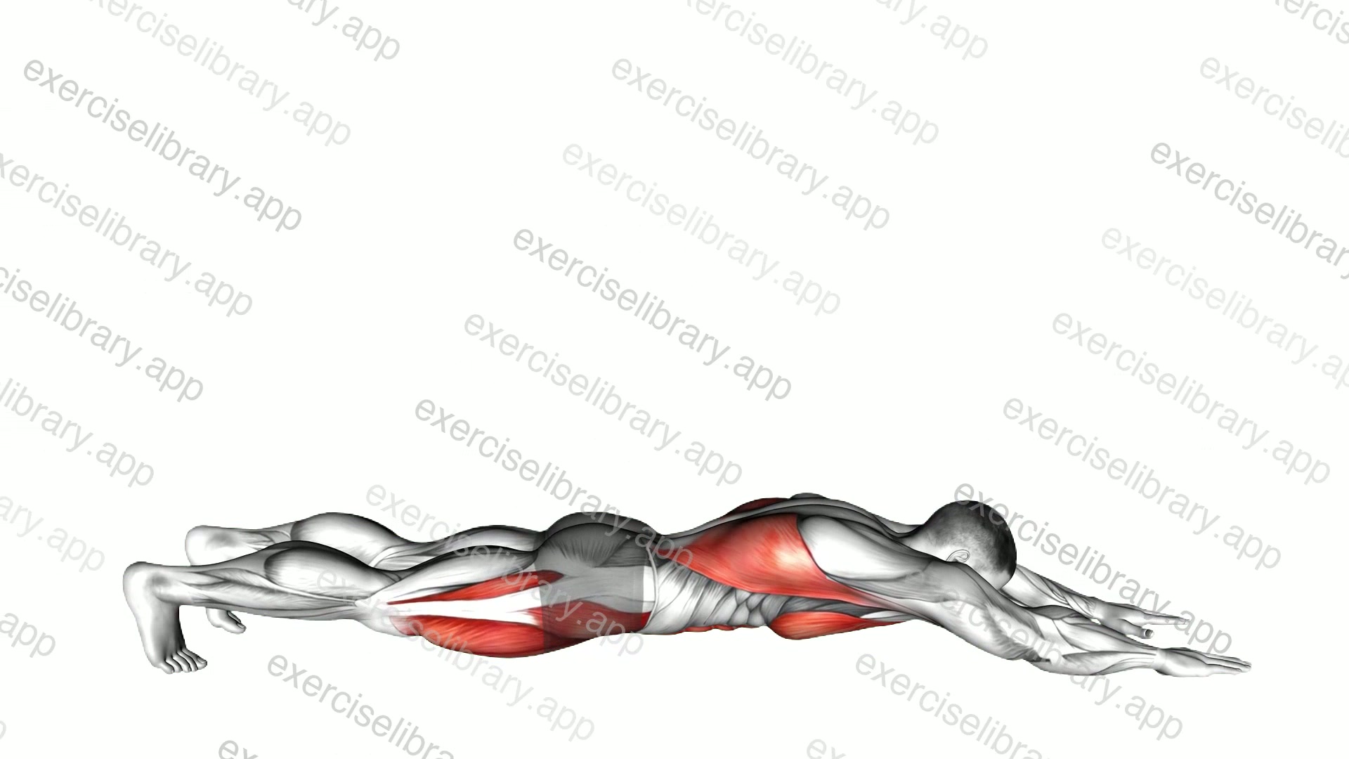 Superman Push-up demonstration