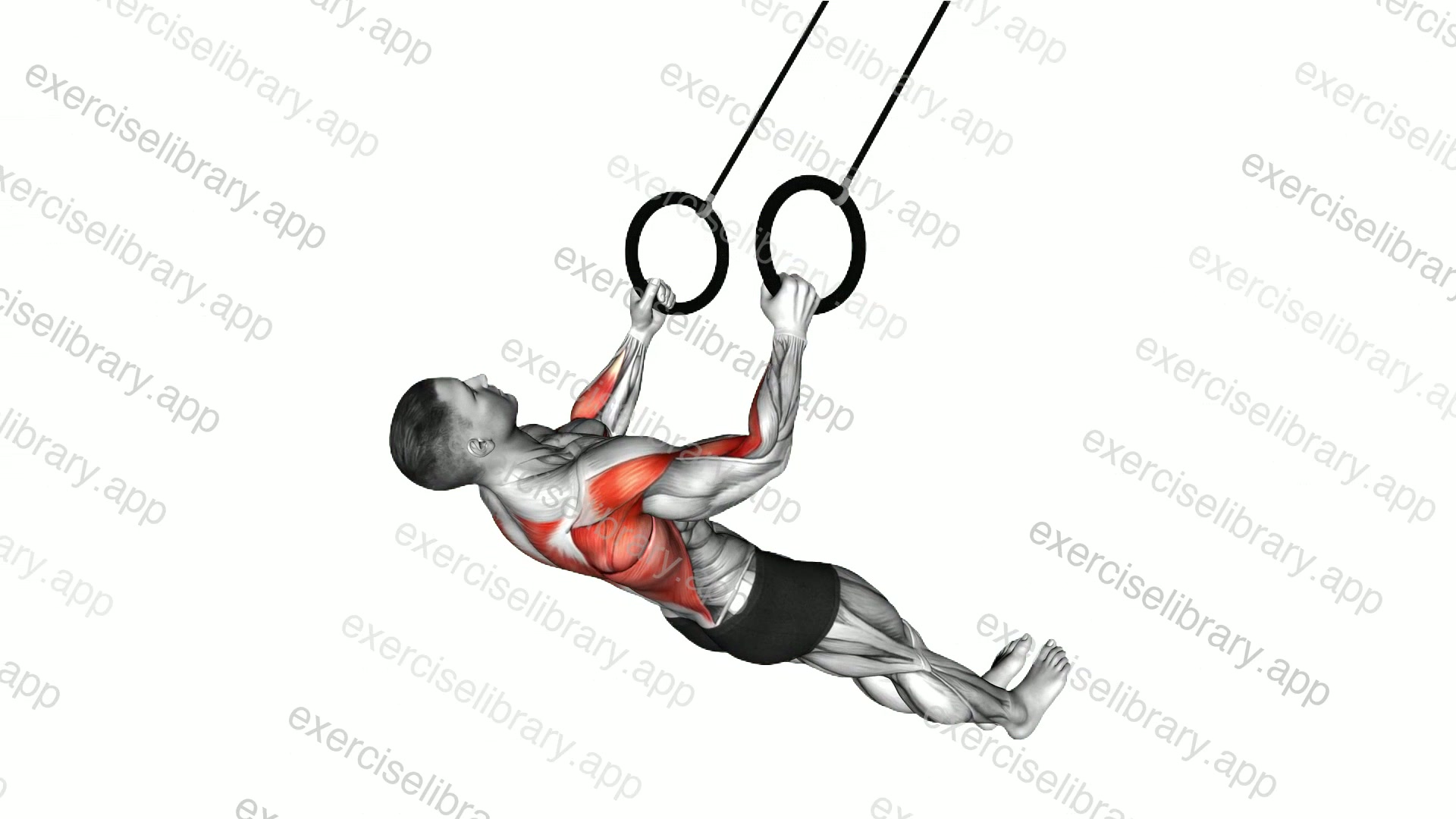Suspender Row demonstration