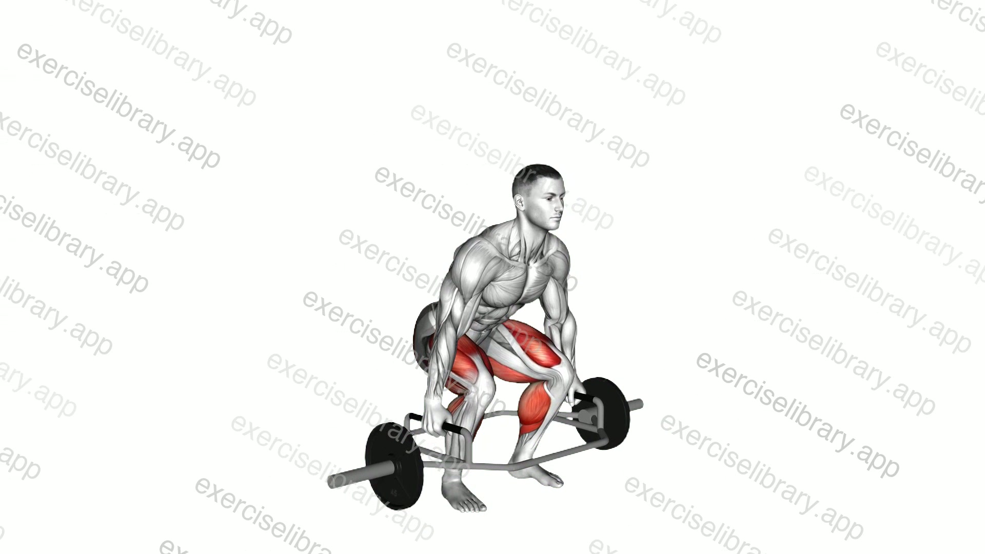Trap Bar Deadlift demonstration