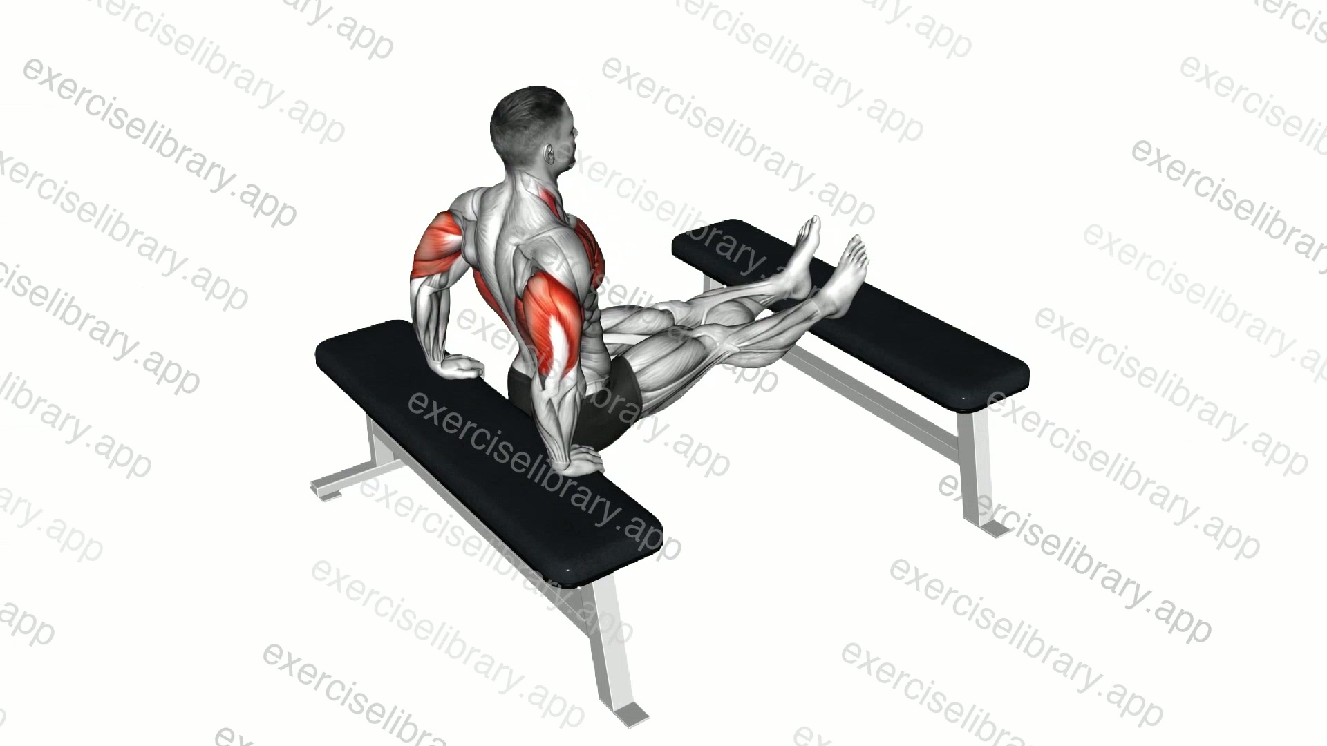 Triceps Dip demonstration