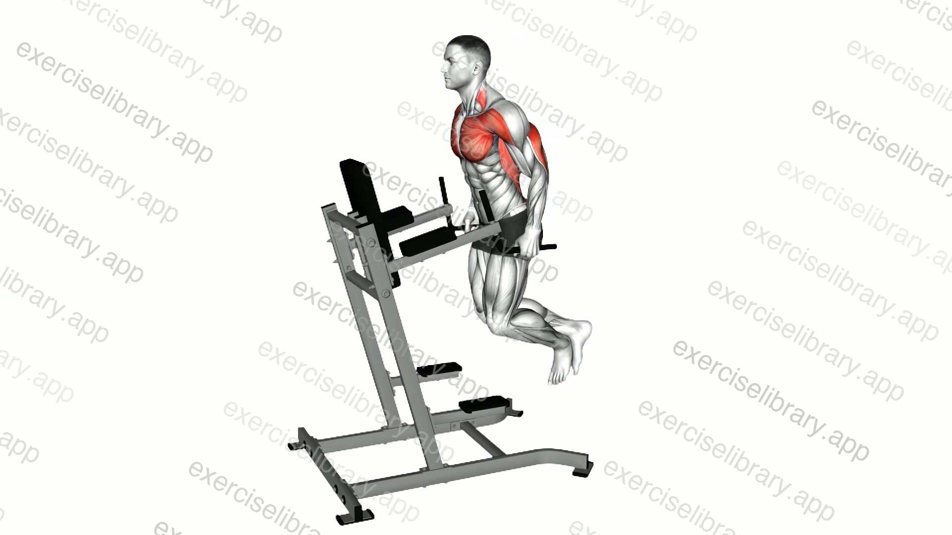 Triceps Dip demonstration