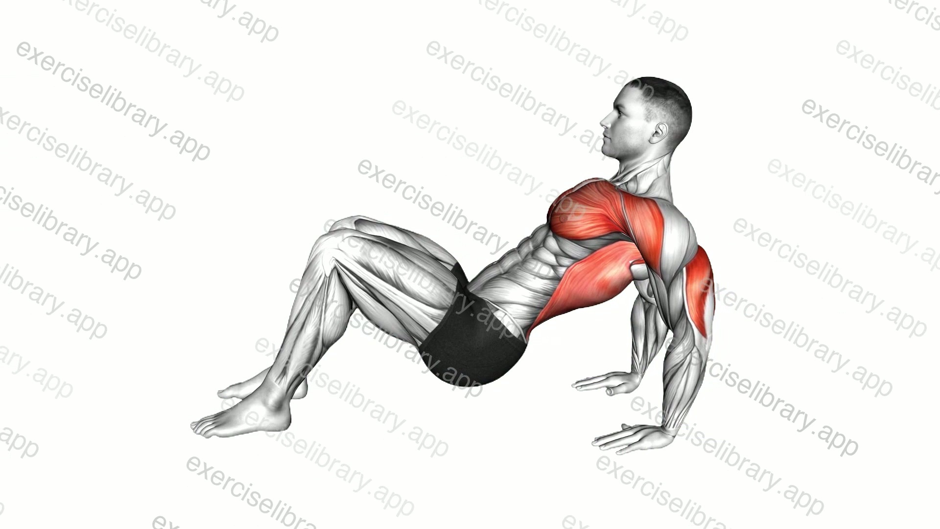 Triceps Dip Floor demonstration