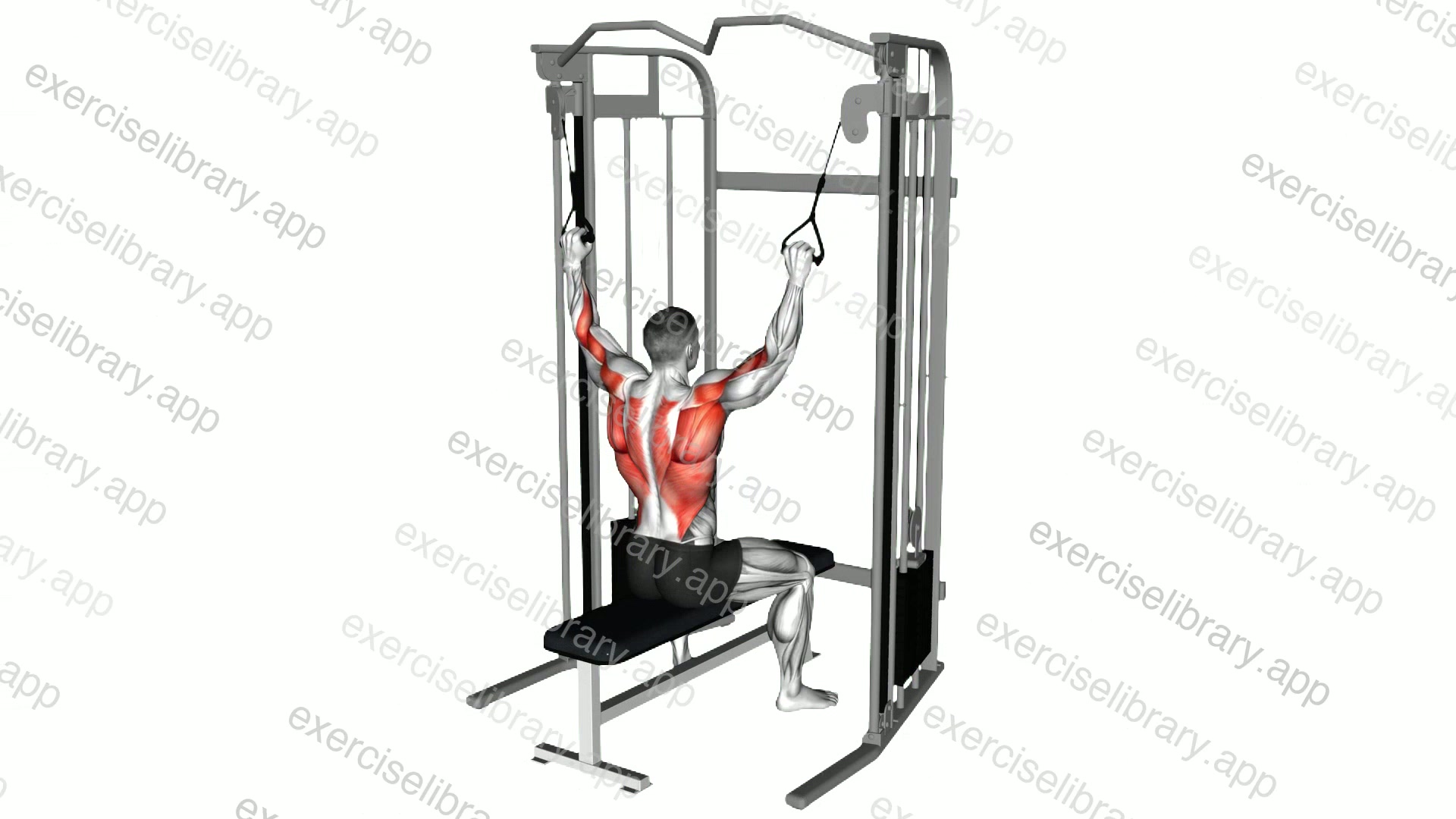 Cable Twin Handle Parallel Grip Lat Pulldown demonstration