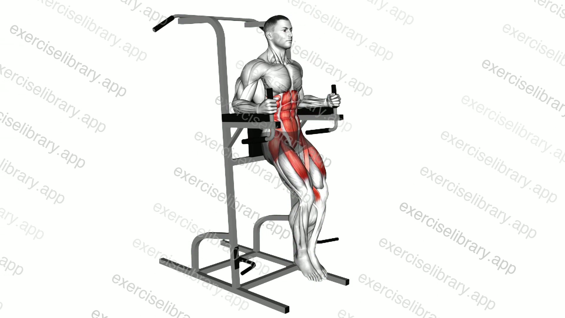 Vertical Leg Raise demonstration