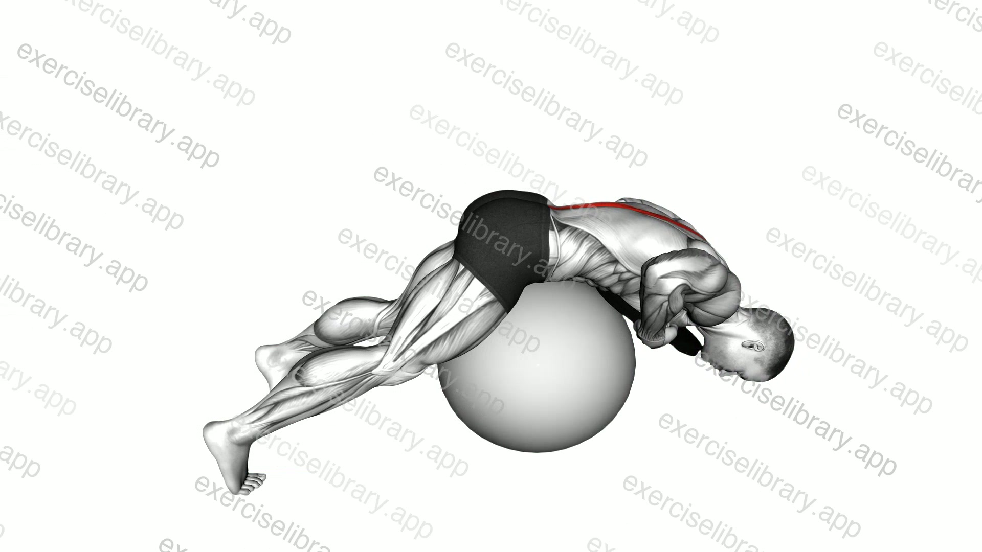 Weighted Hyperextension demonstration