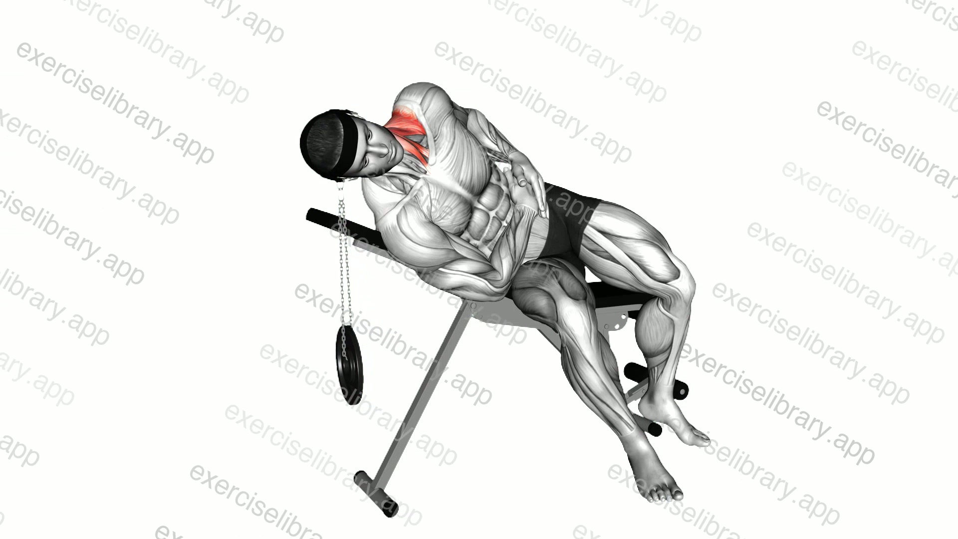 Weighted Lying Side Lifting Head demonstration