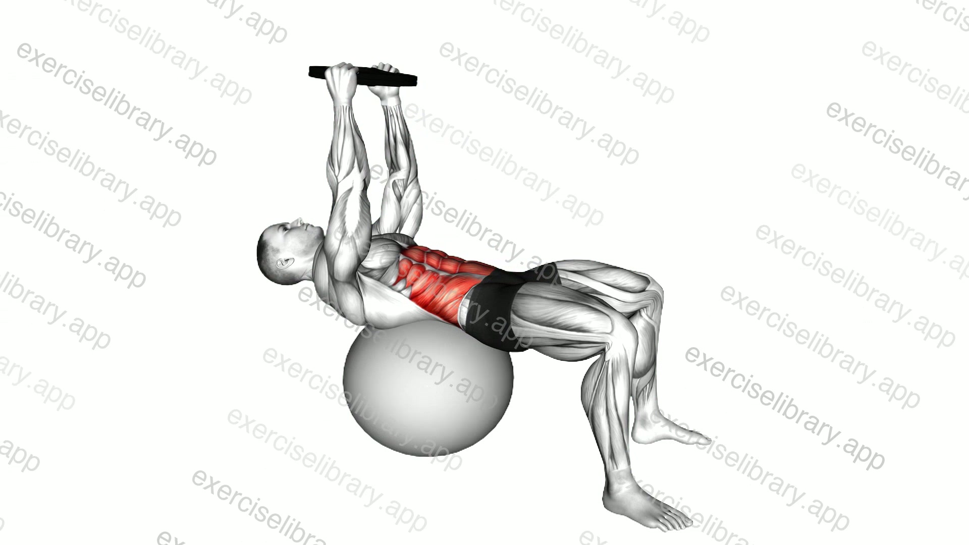 Weighted Overhead Crunch demonstration
