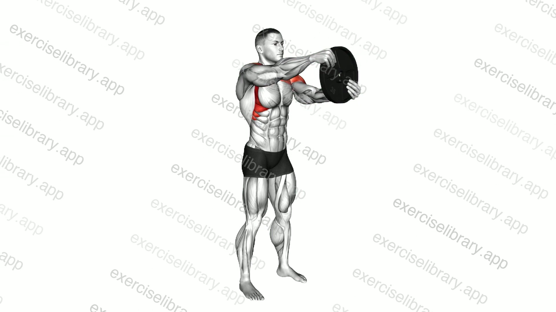 Weighted Round Arm demonstration