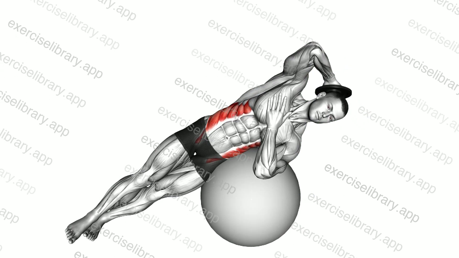 Weighted Side Bend demonstration
