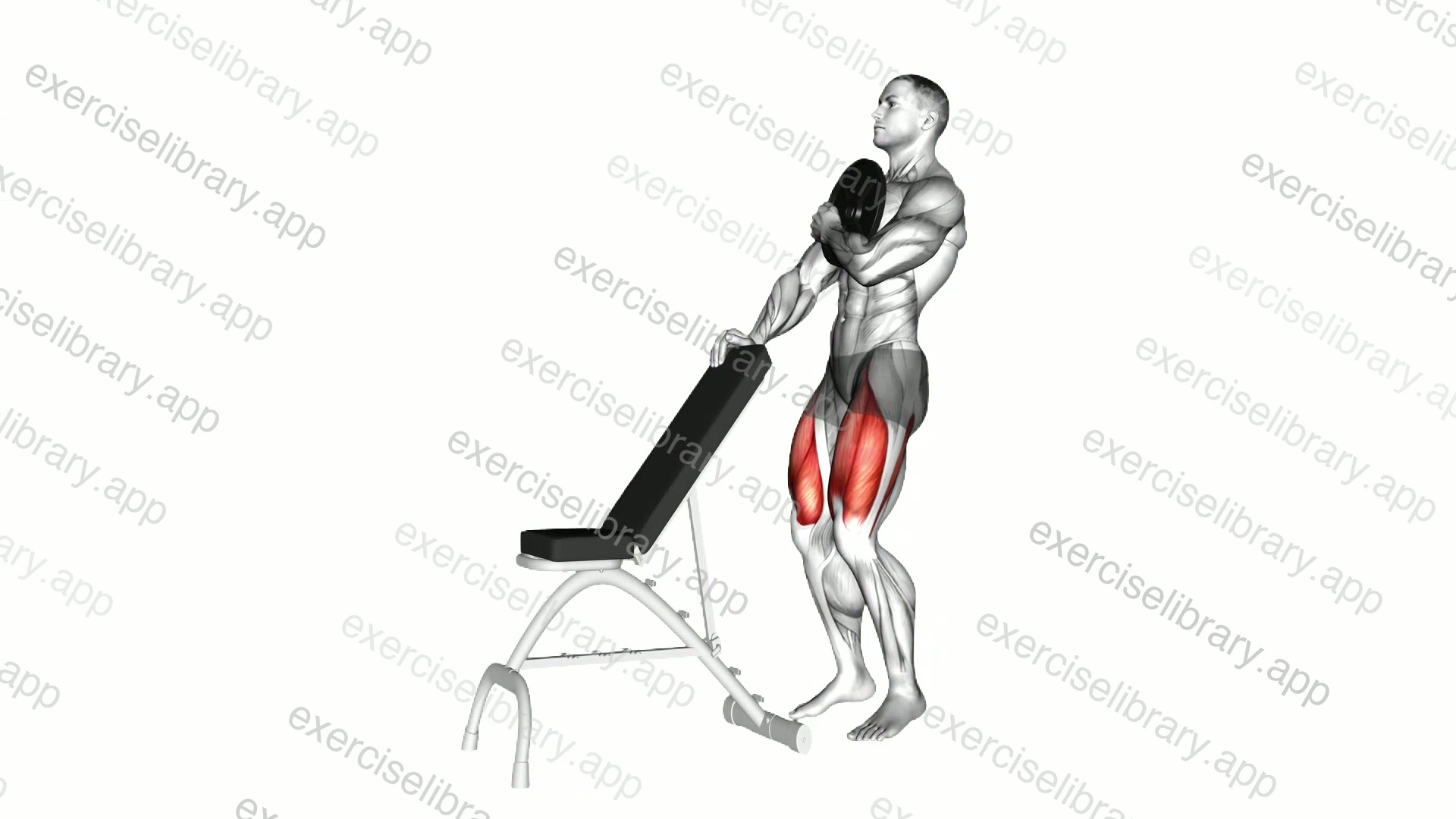Weighted Sissy Squat demonstration