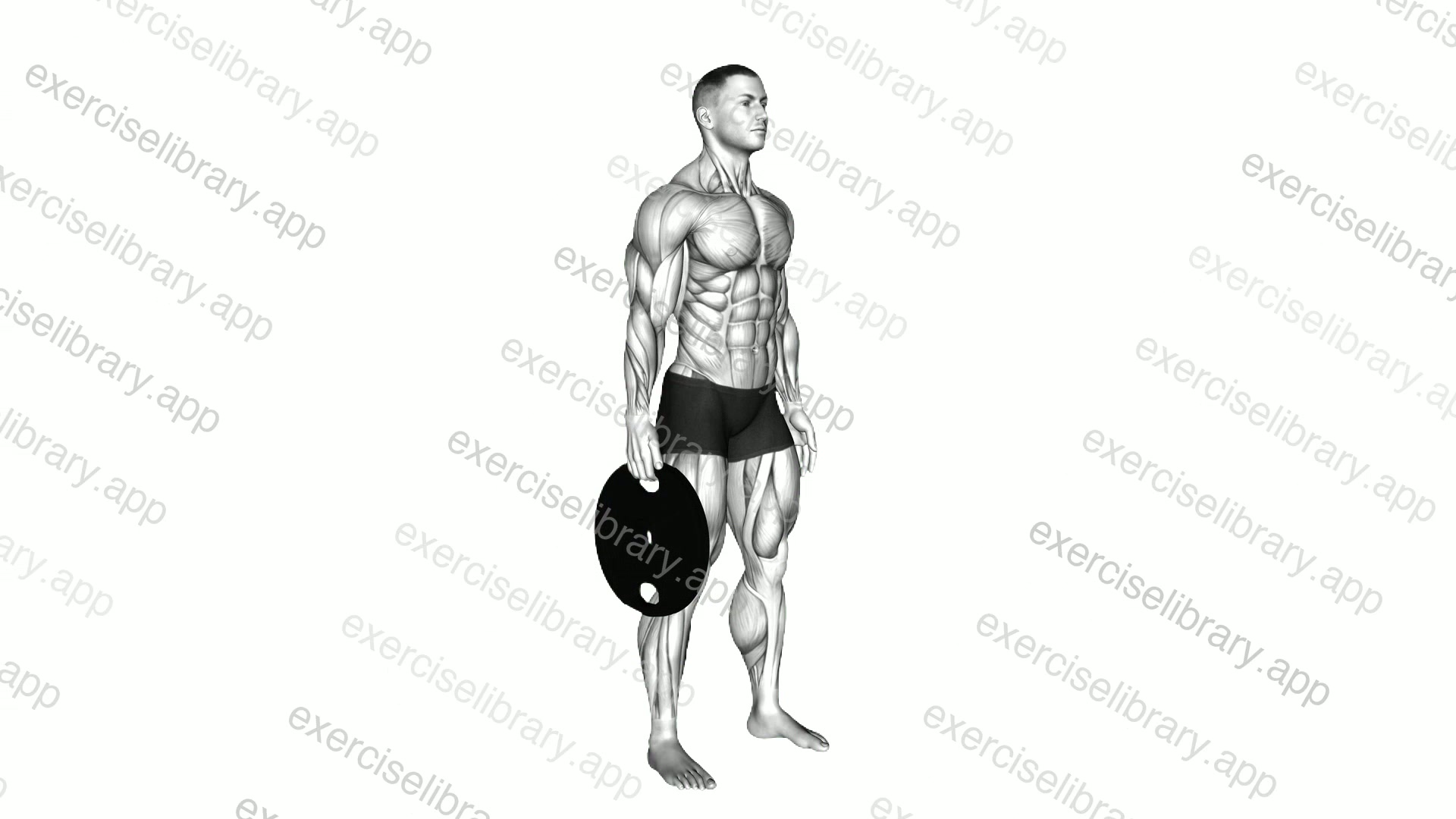Weighted Standing Hand Squeeze demonstration