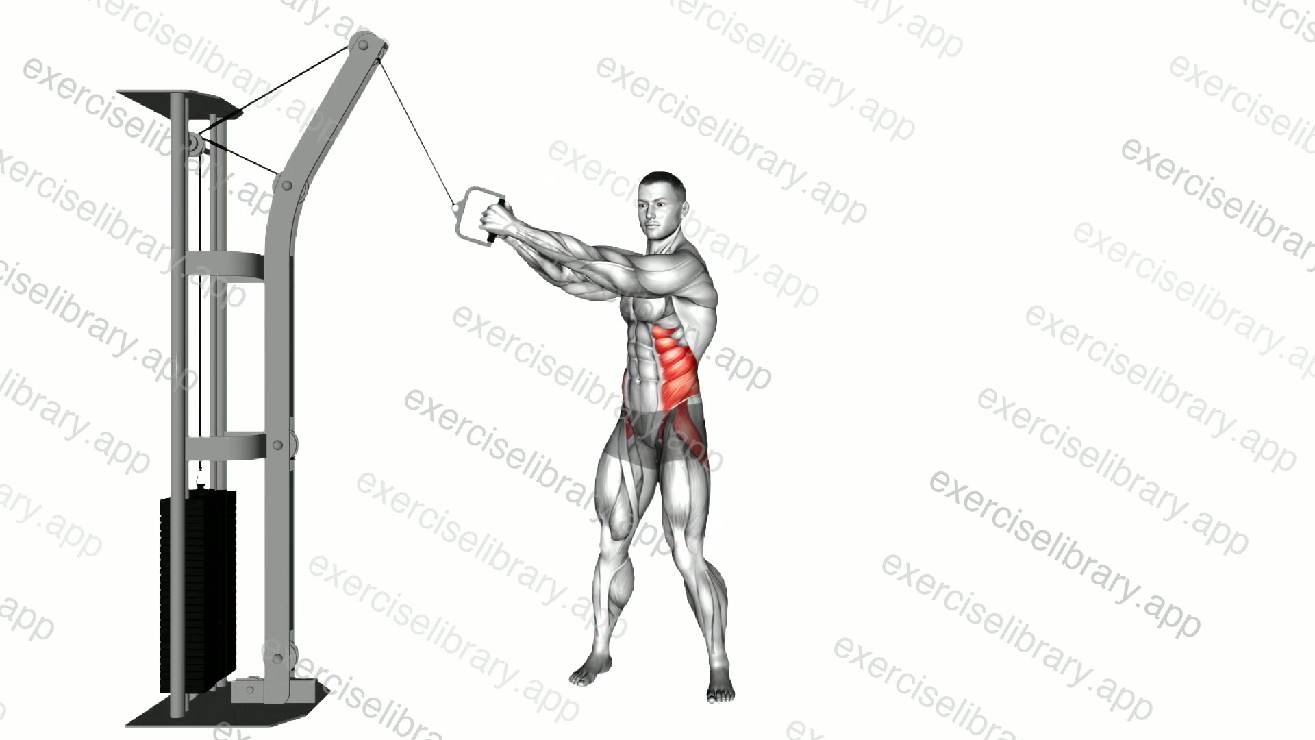Cable twist demonstration