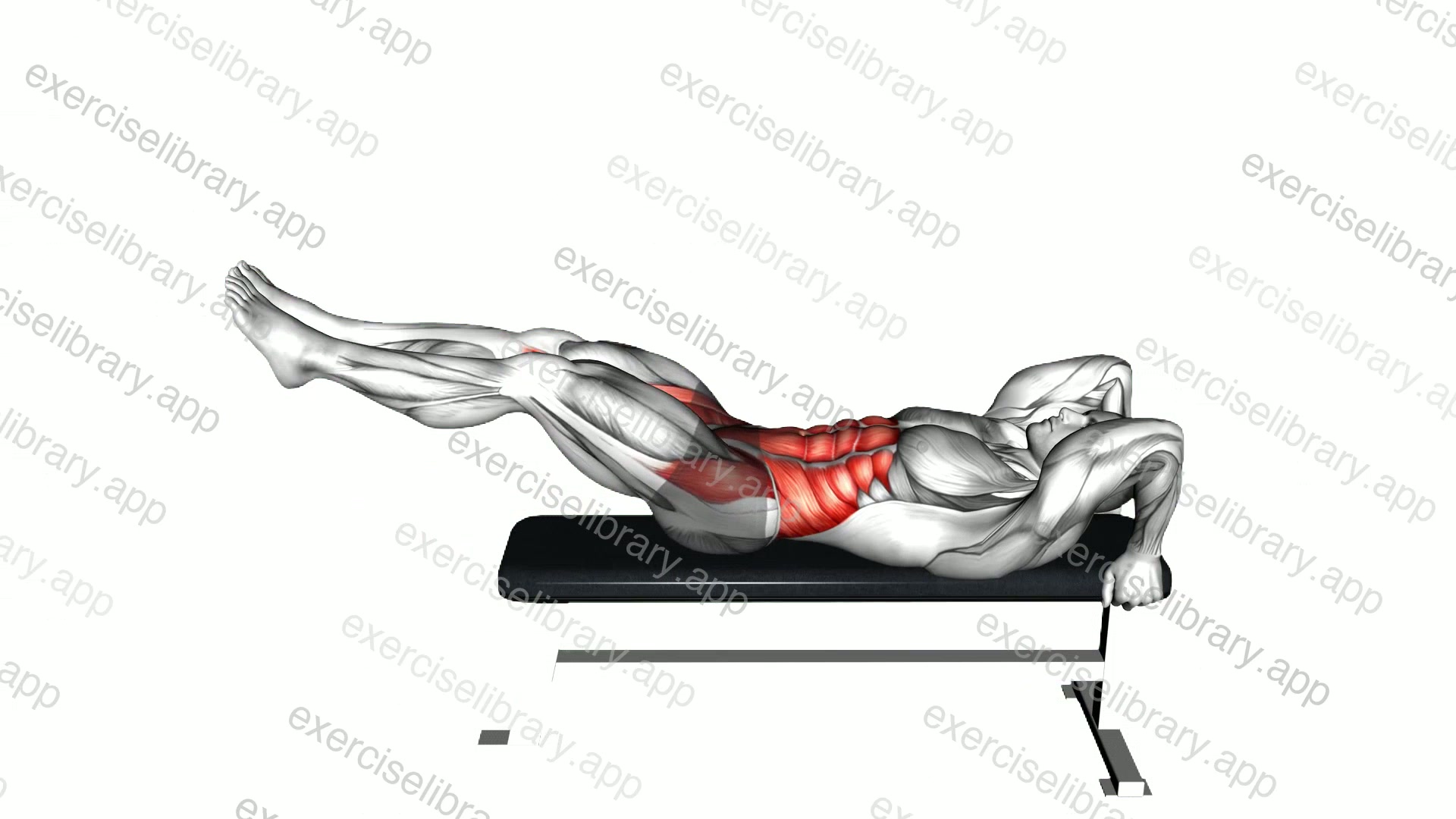 Lying leg hip raise demonstration