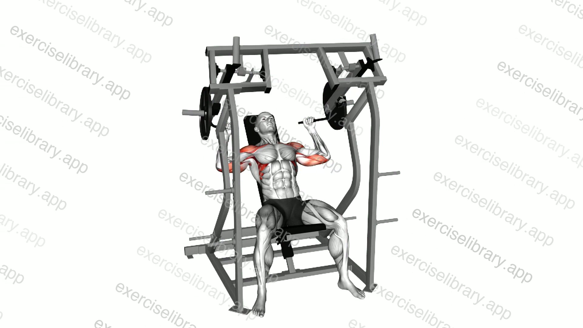 Lever Shoulder Press demonstration