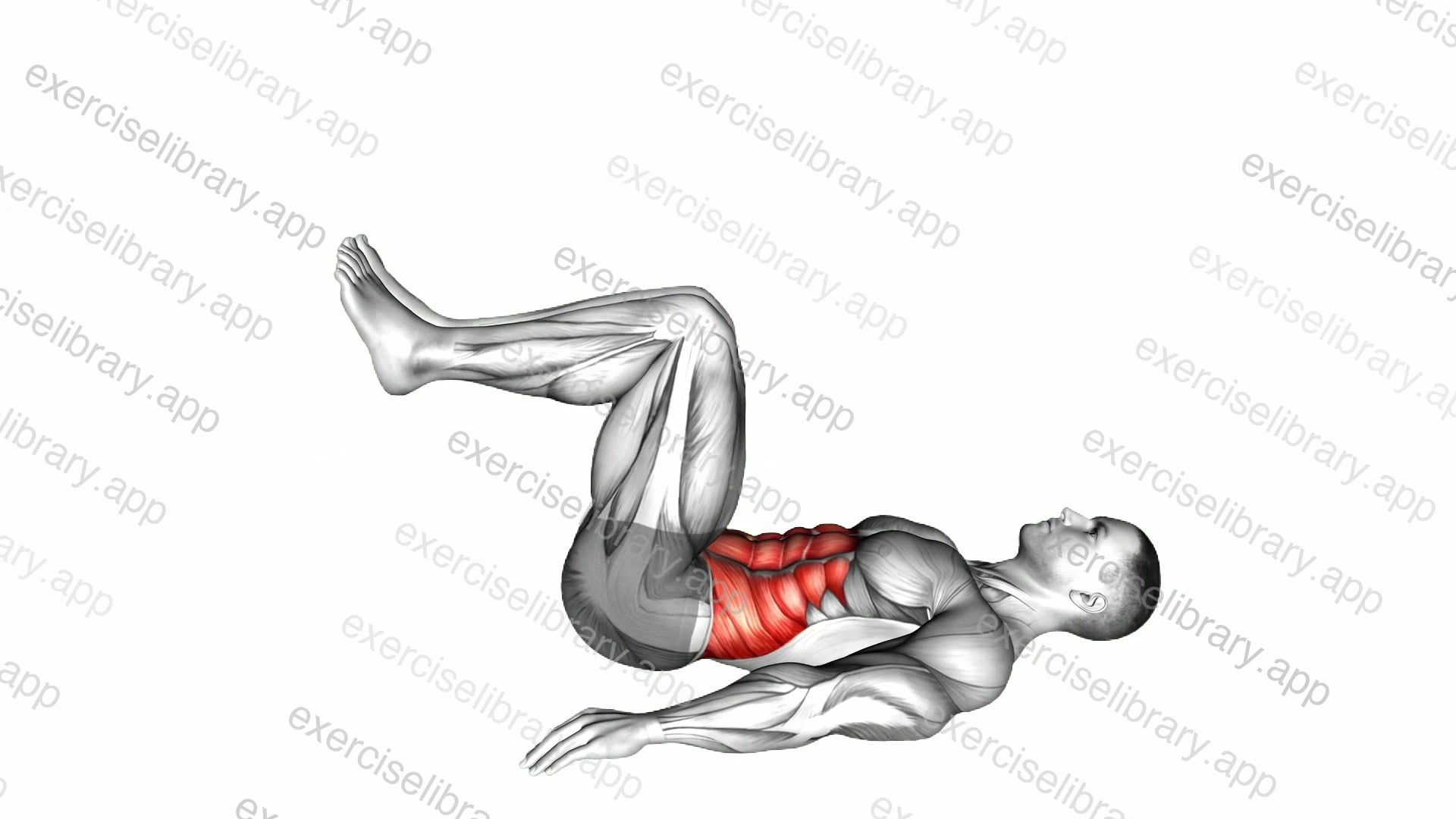 Reverse Crunch demonstration