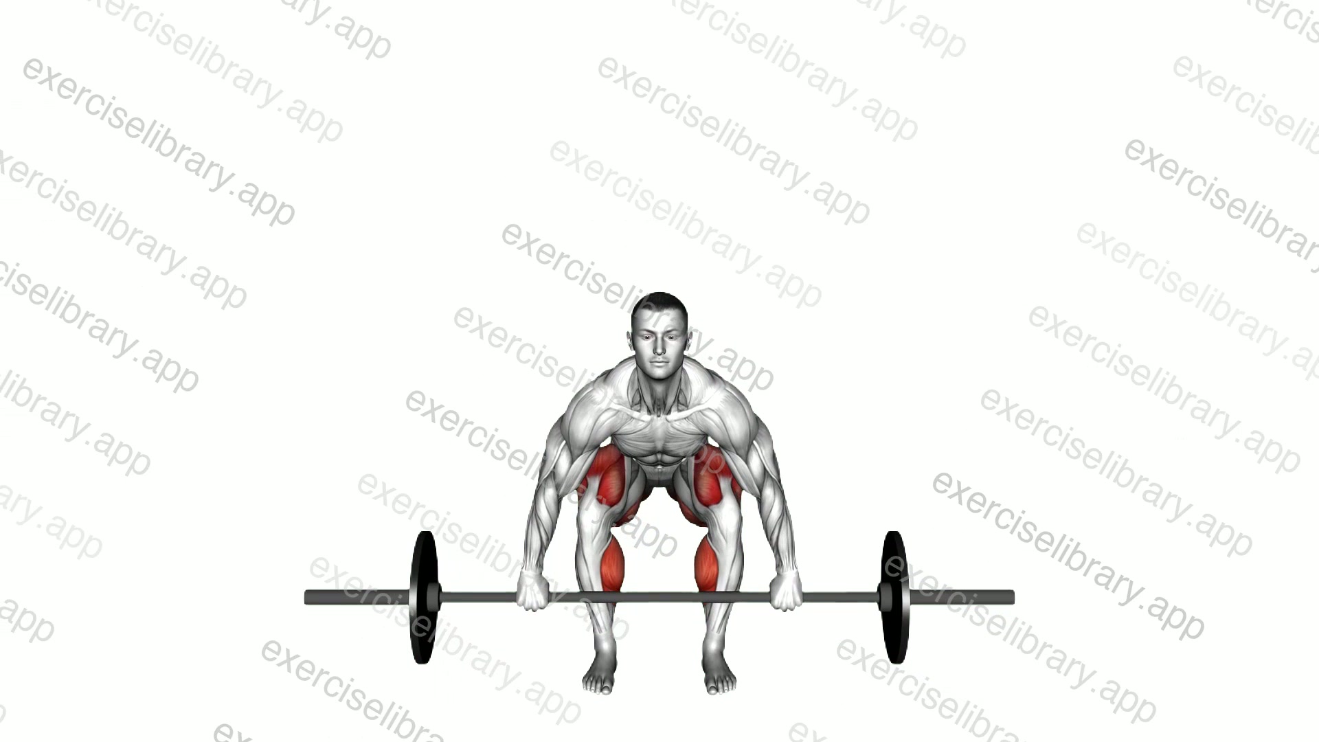 Barbell Deadlift demonstration