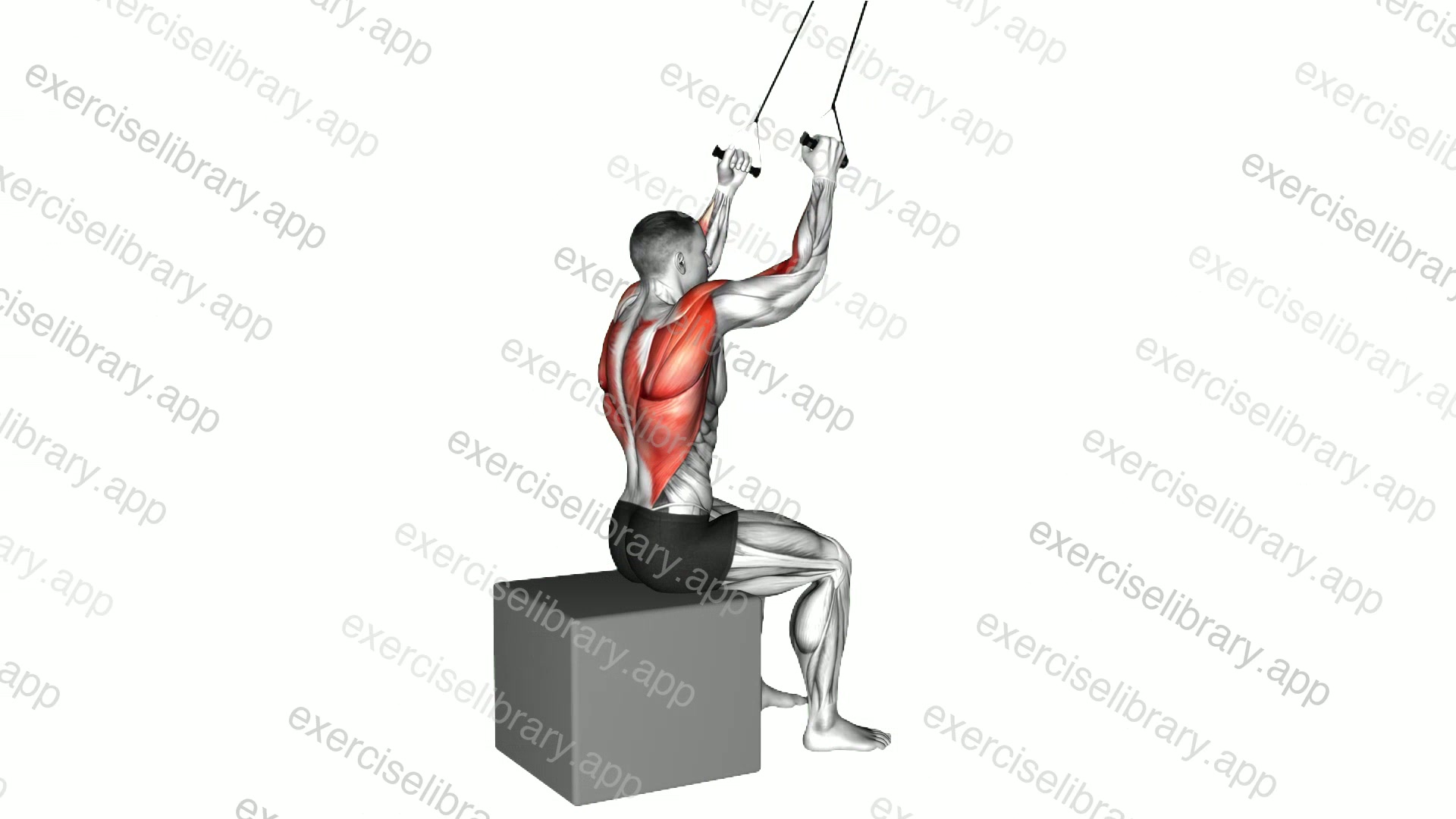Band Close Grip Pulldown demonstration