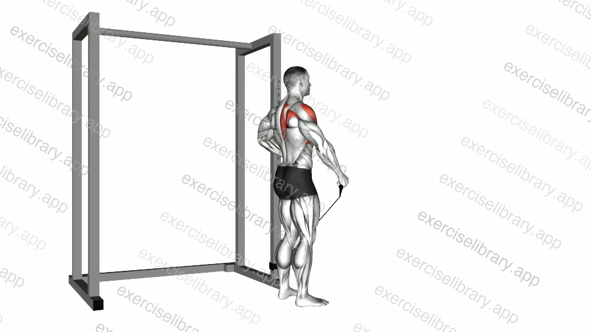 Band front lateral raise demonstration