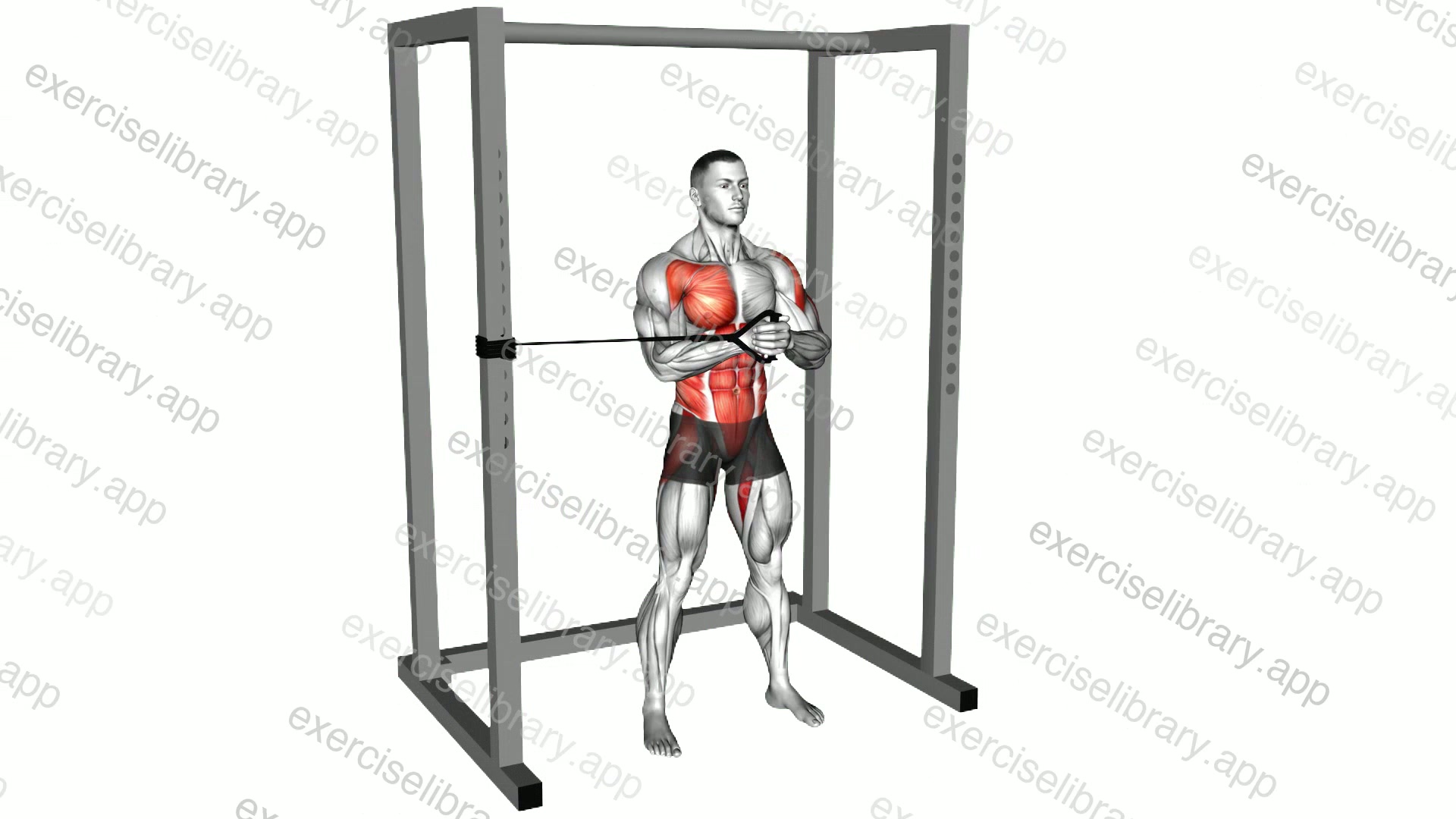 Band Horizontal Pallof Press demonstration