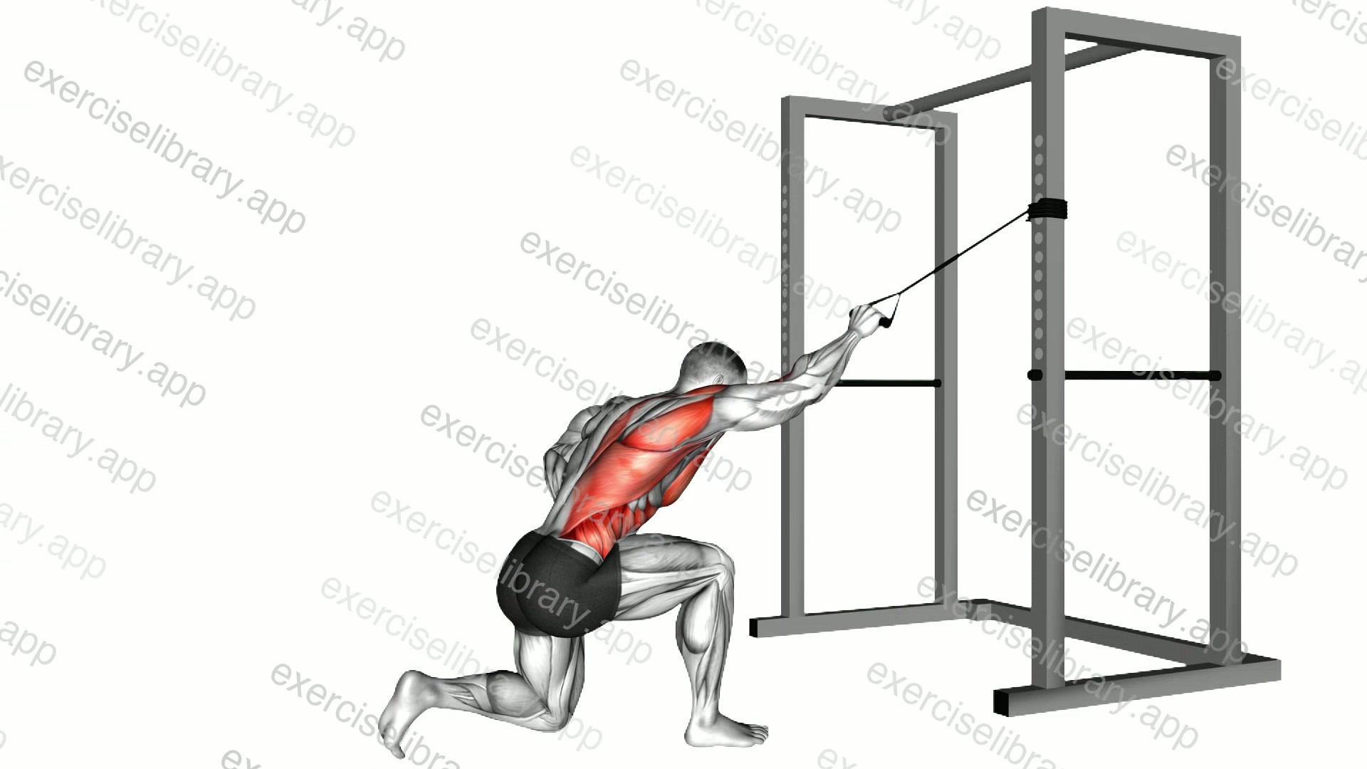 Band kneeling one arm pulldown demonstration