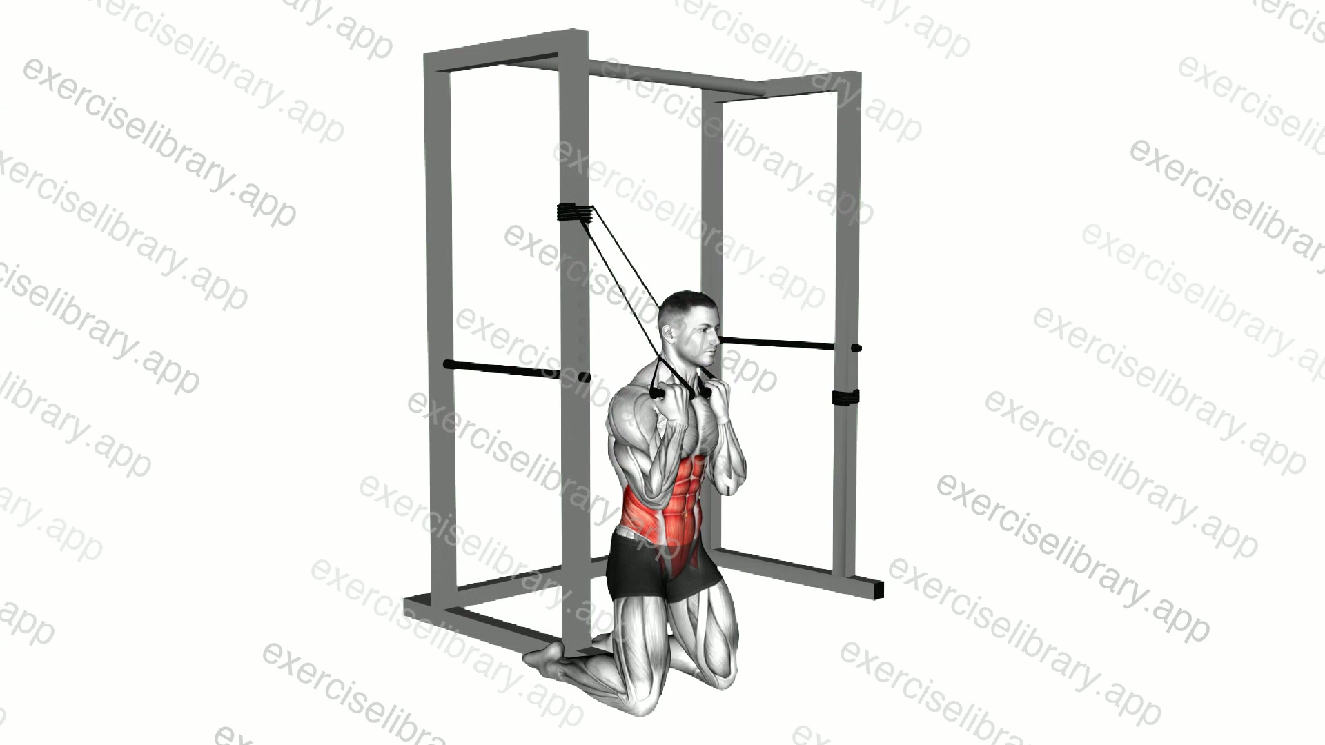 Band Kneeling Twisting Crunch demonstration