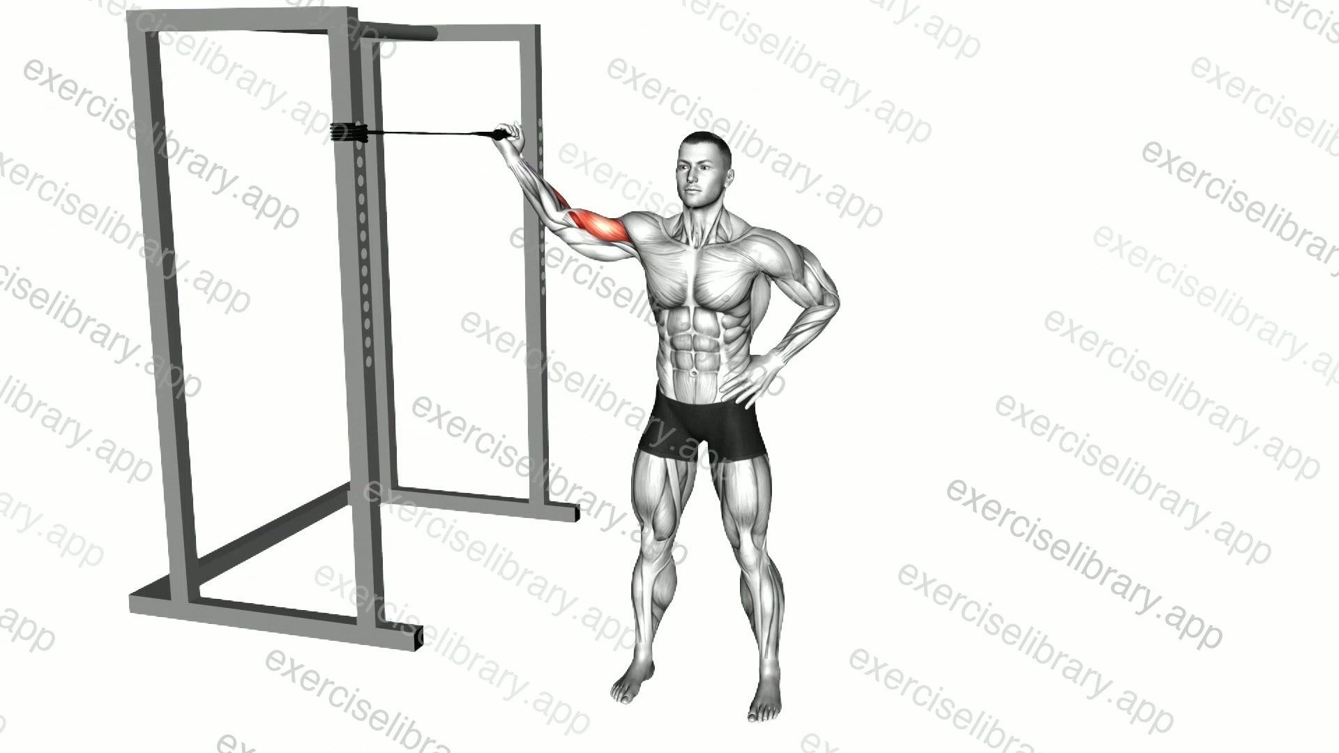 Band One Arm Overhead Biceps Curl demonstration