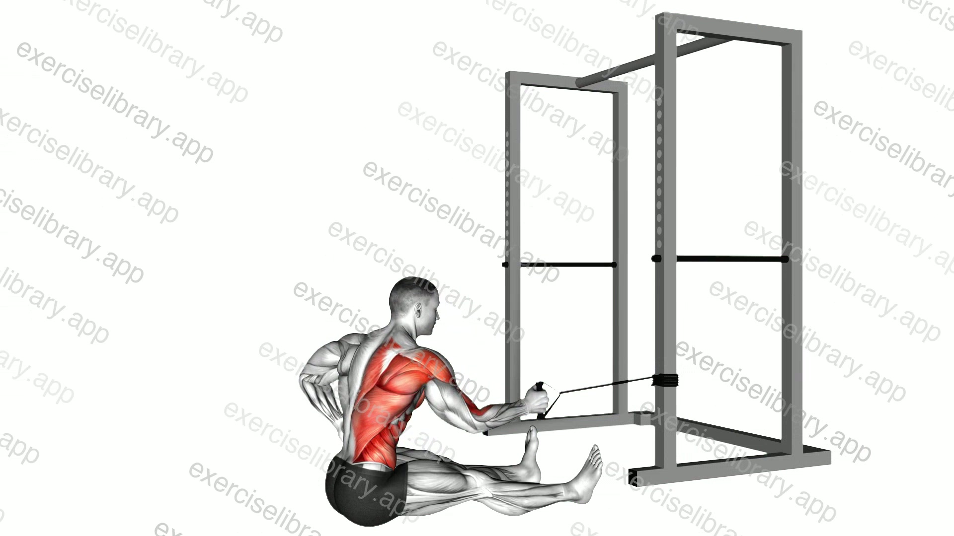 Band One Arm Twisting Seated Row demonstration