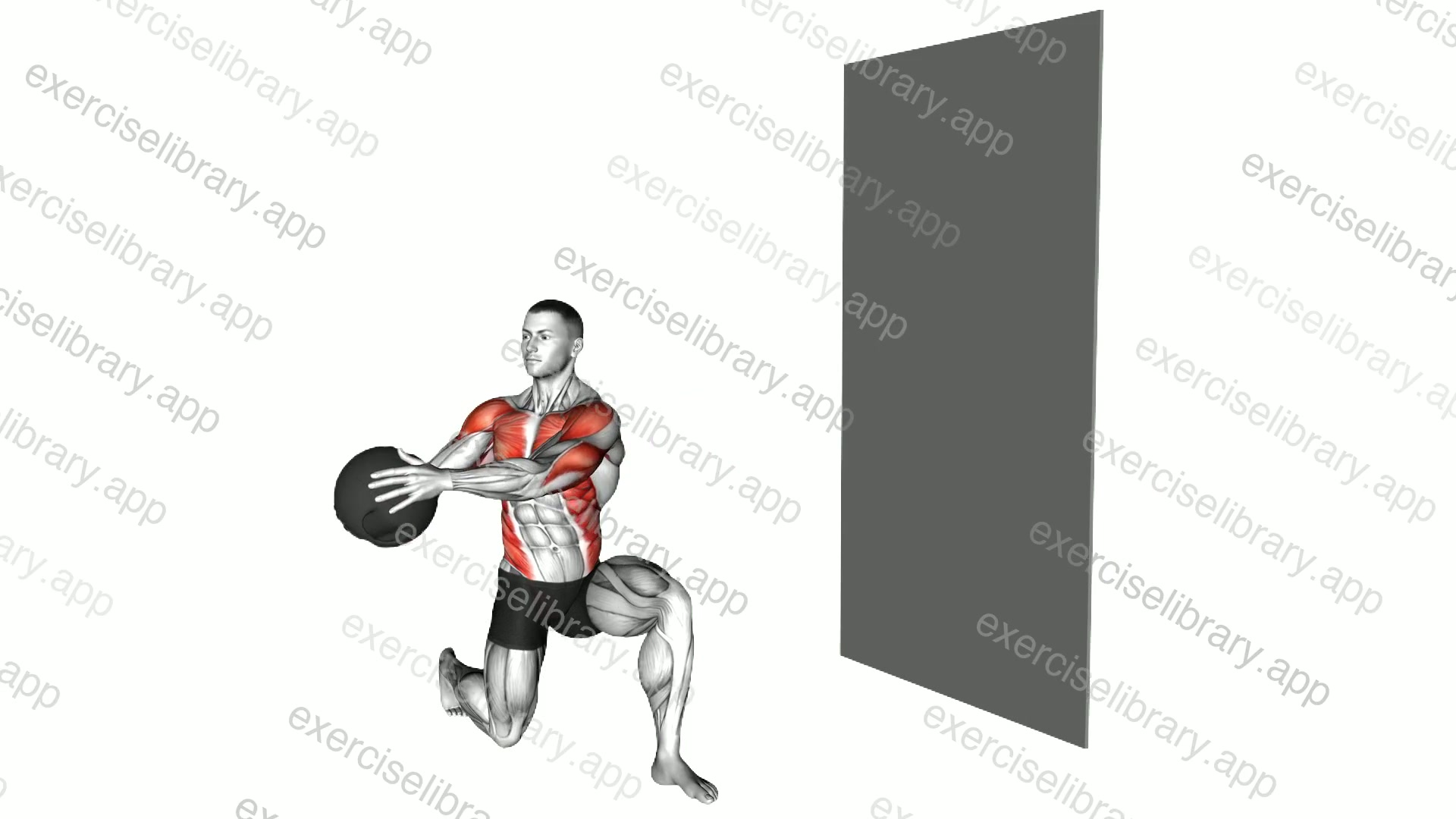 Medicine Ball Kneeling Throw demonstration