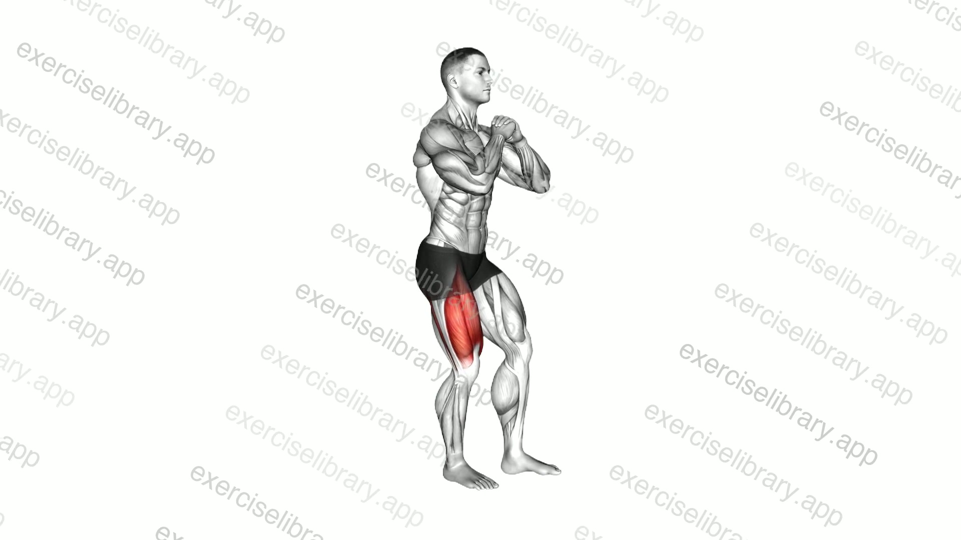 Isometric Slightly Pistol Squat demonstration