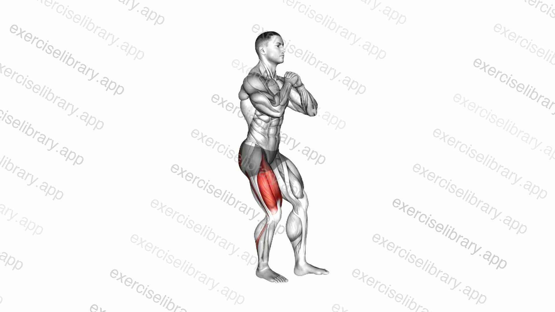 Isometric 90 degrees Pistol Squat demonstration