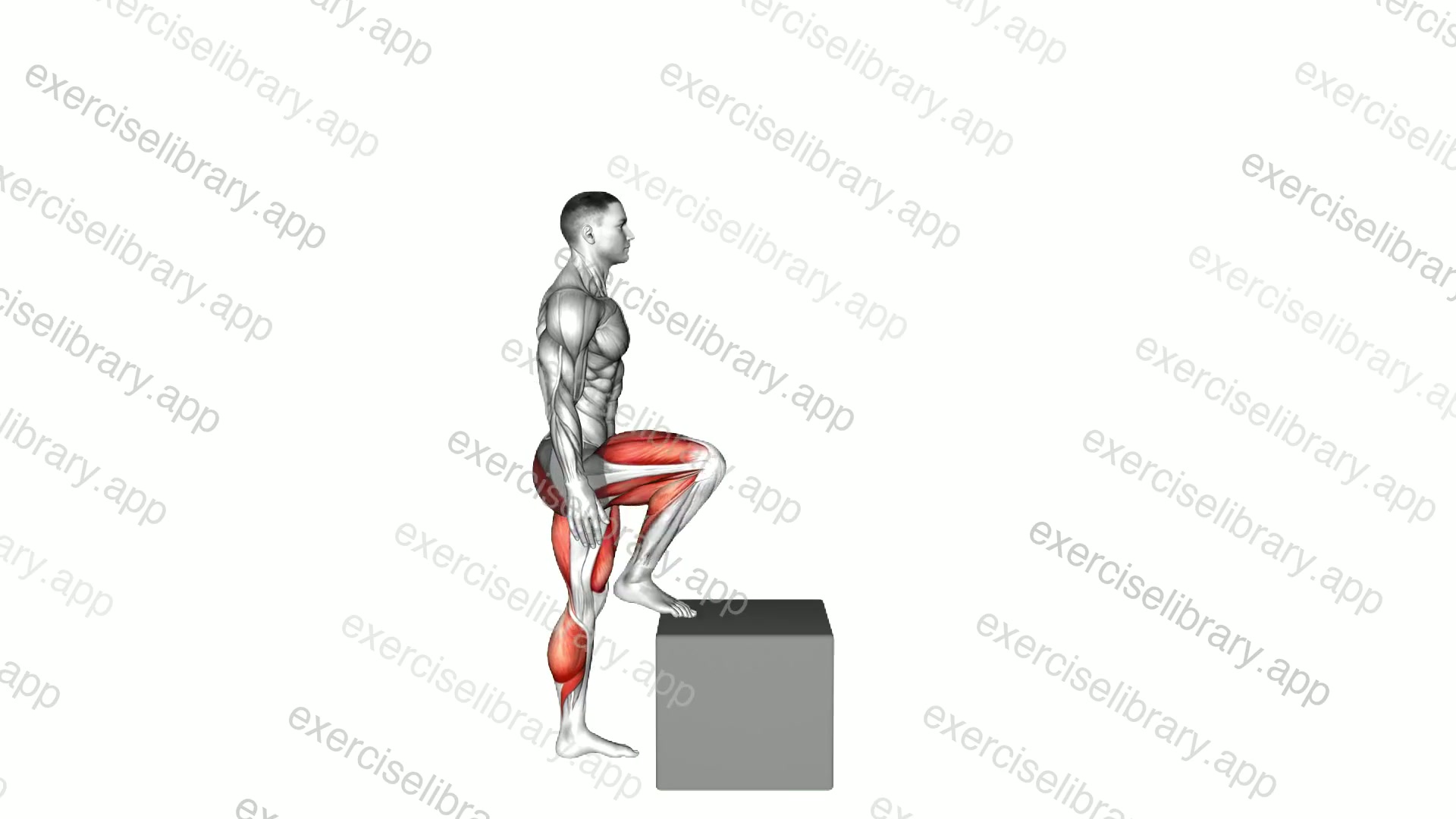 Bodyweight Step over Box demonstration