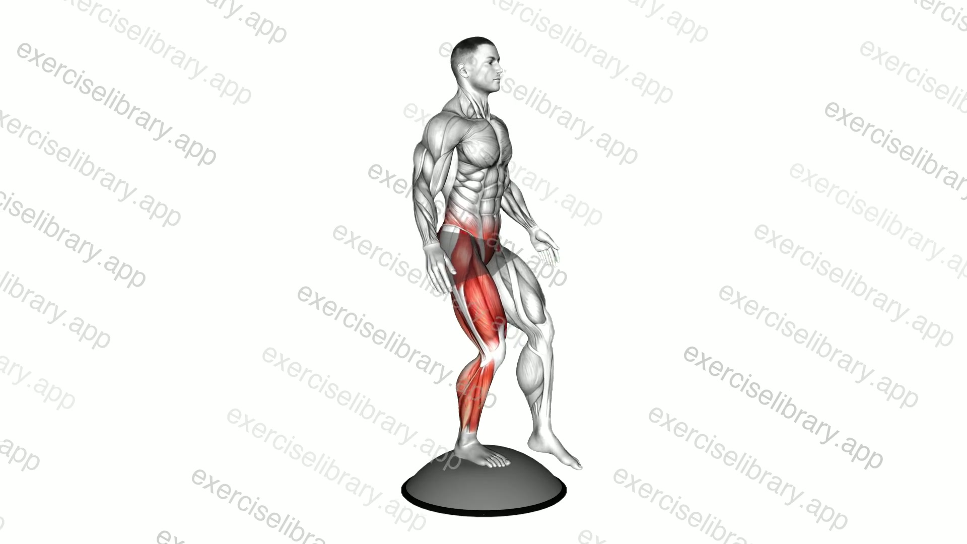 Bosu Ball Balance Single Leg Squat demonstration