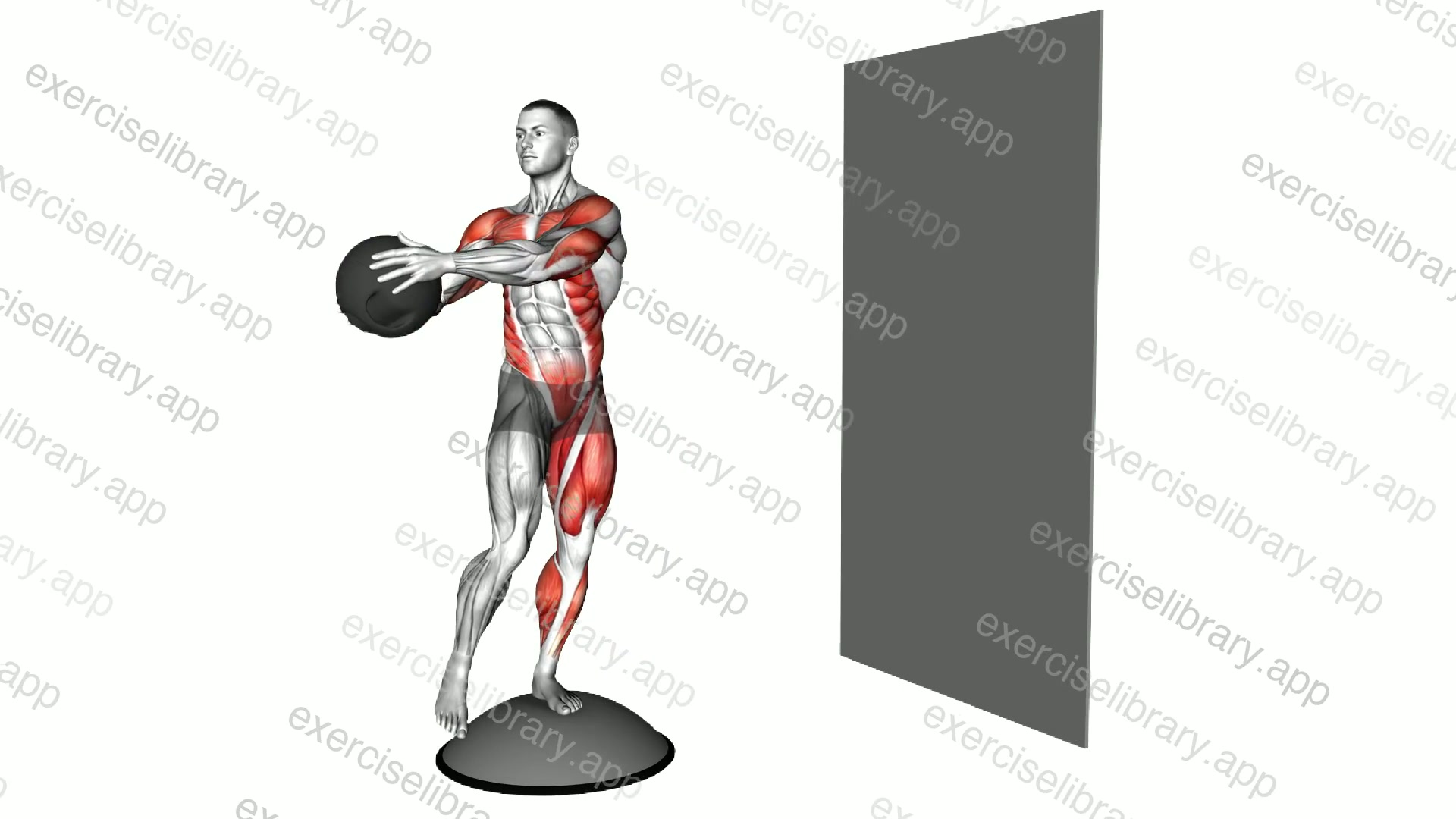 Medicine Ball Single Leg Balance Throw demonstration
