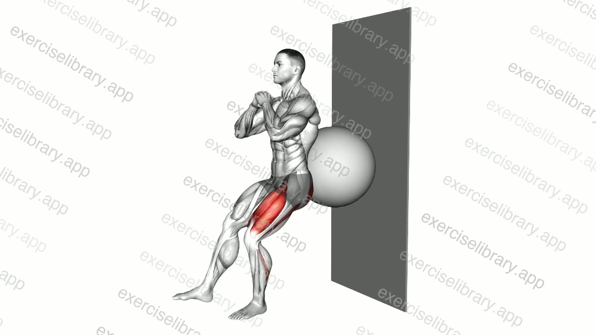 Stability Ball Isometric Single Leg Squat demonstration