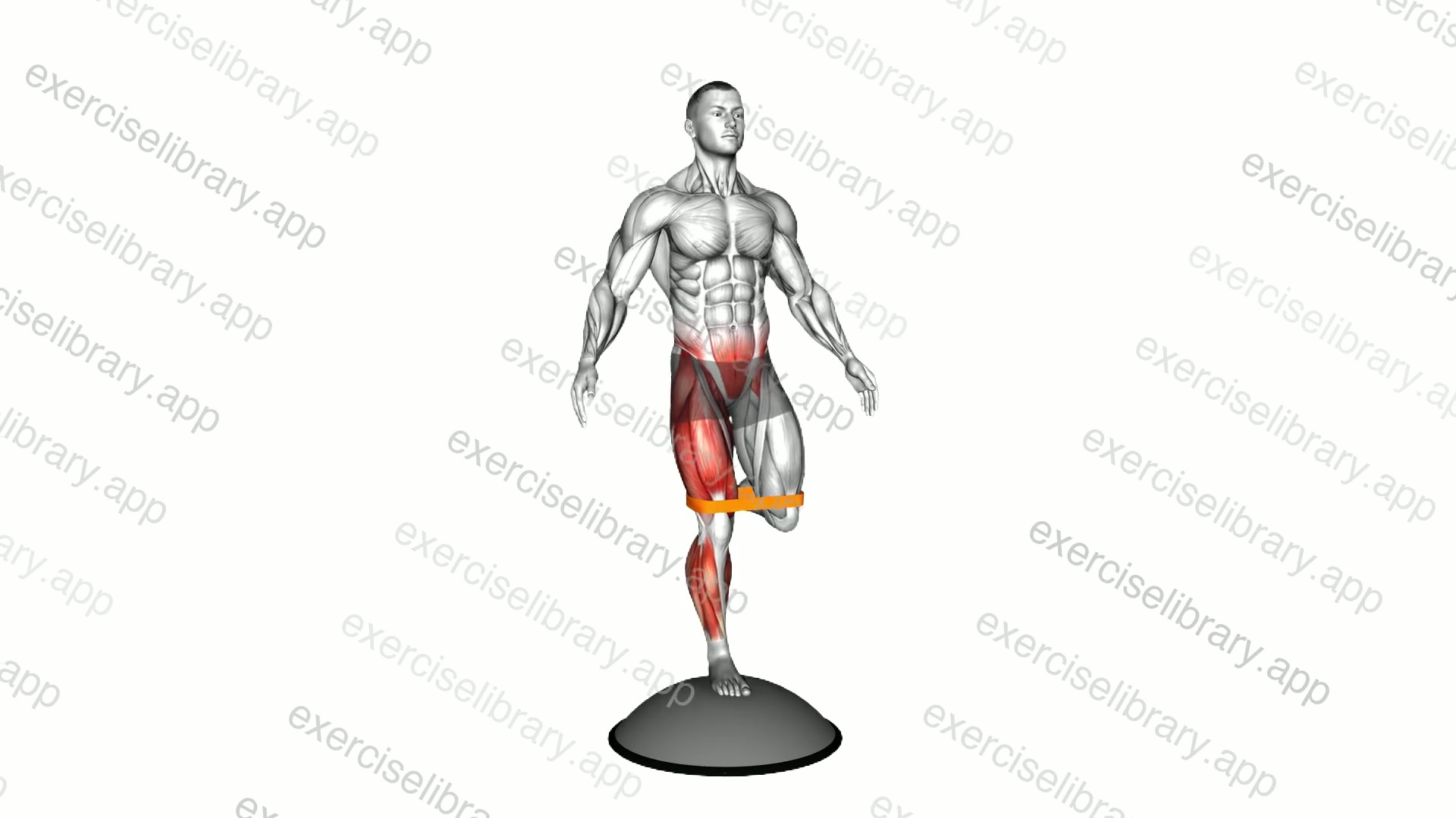 Resistance Band Bosu Ball Single Leg Balance demonstration
