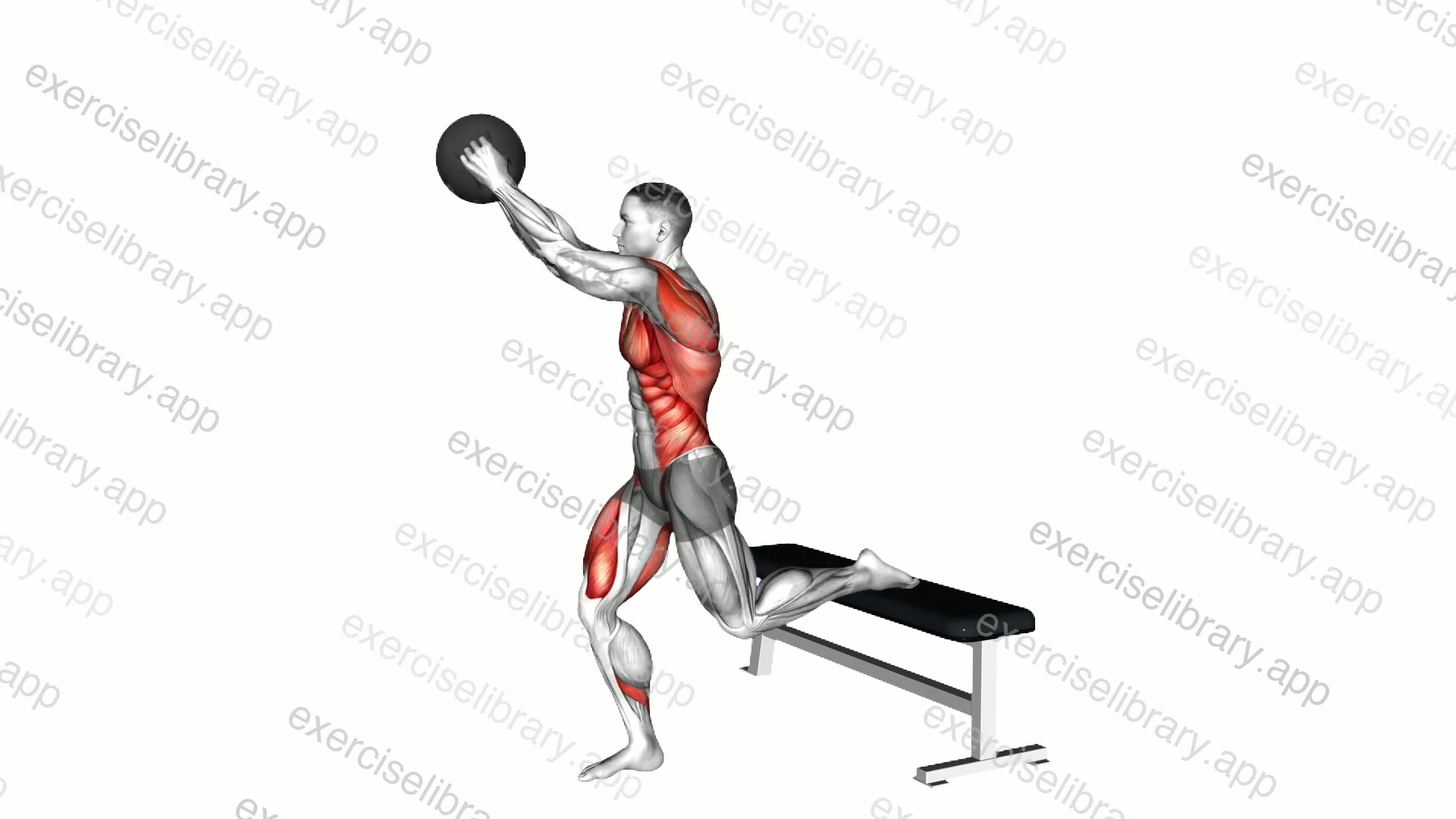 Medicine Ball Woodchop Bulgarian Split Squat demonstration