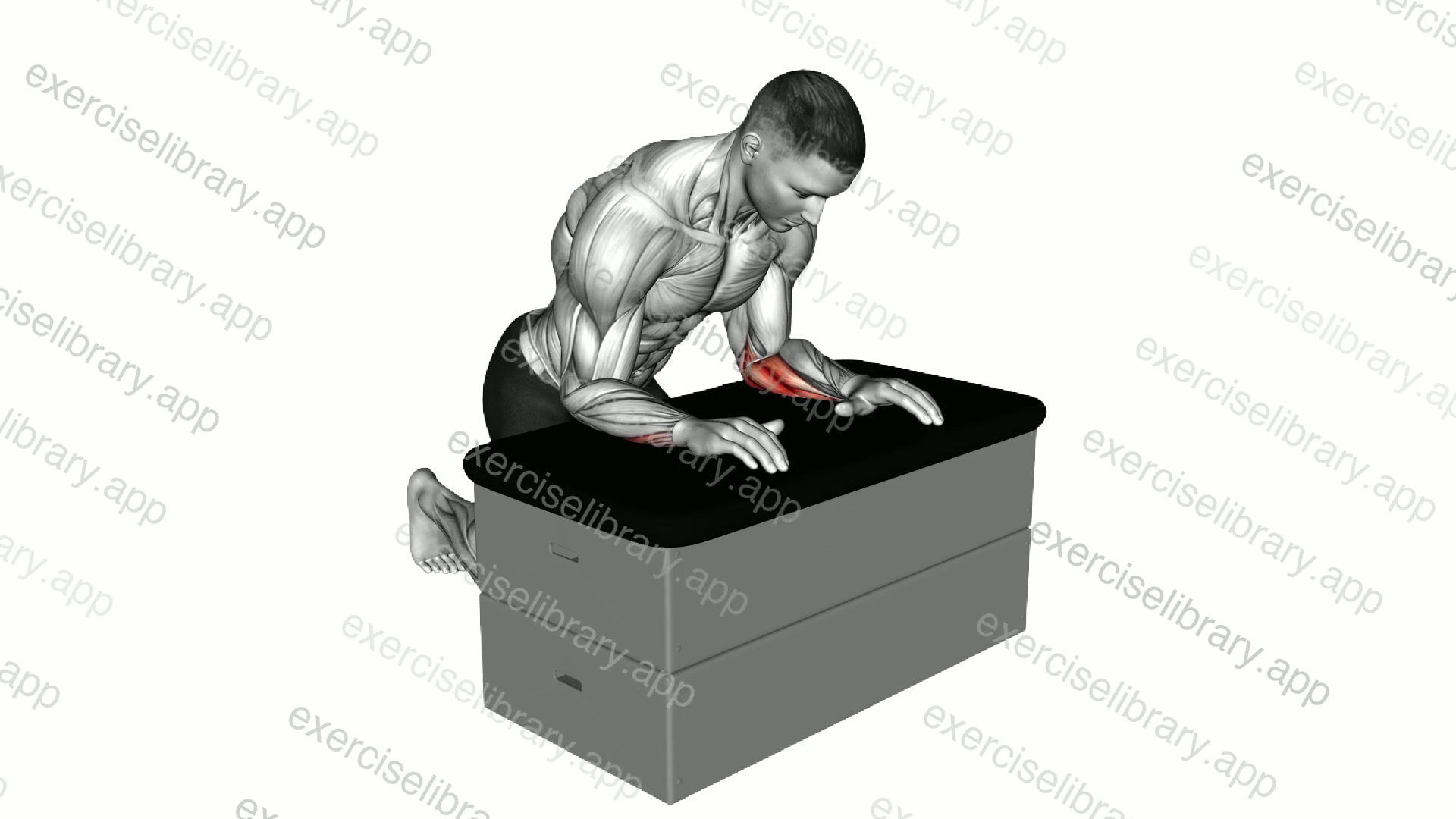 Finger Flexion While Extending Thumb demonstration