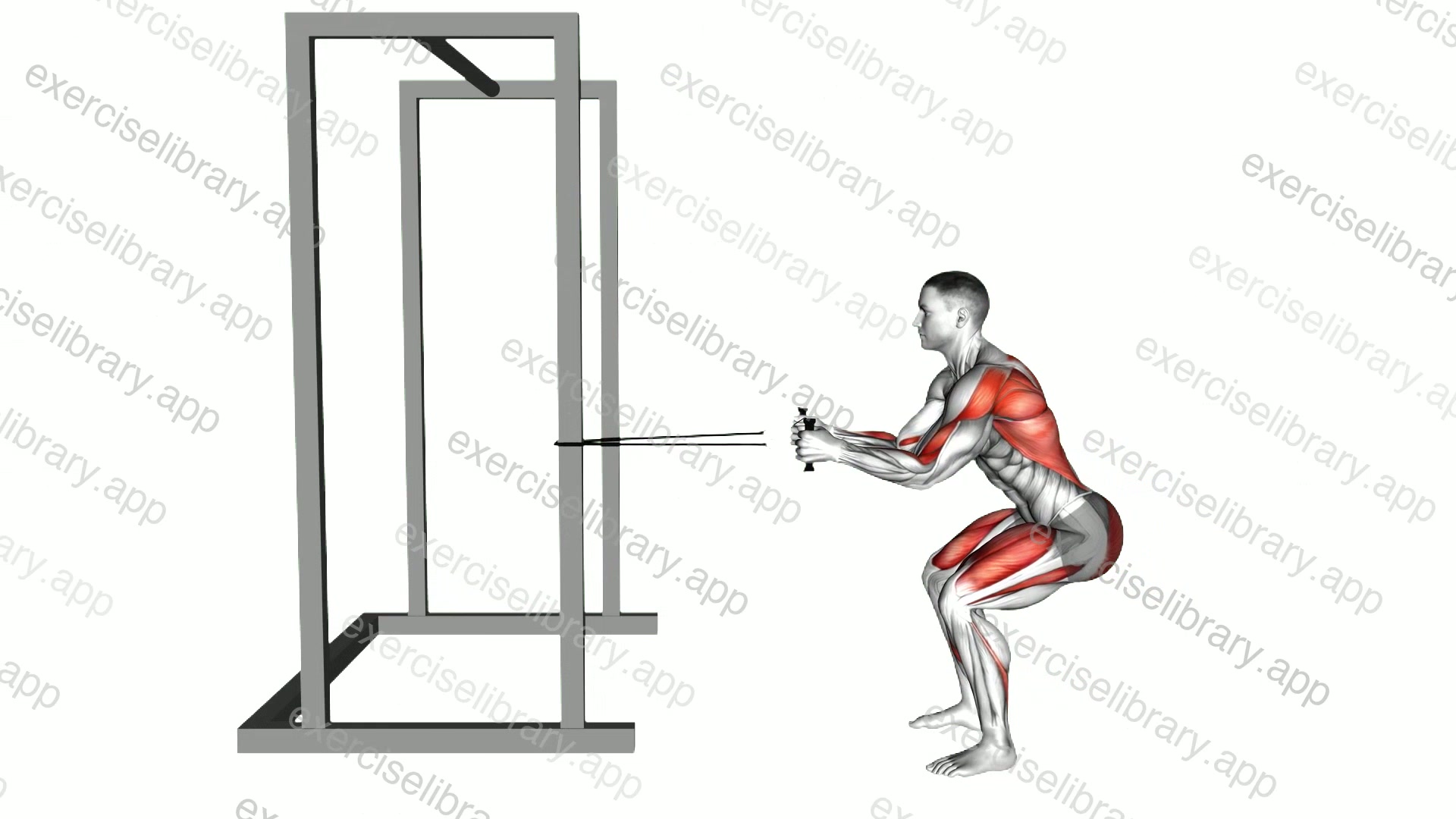 Band Squat Row demonstration