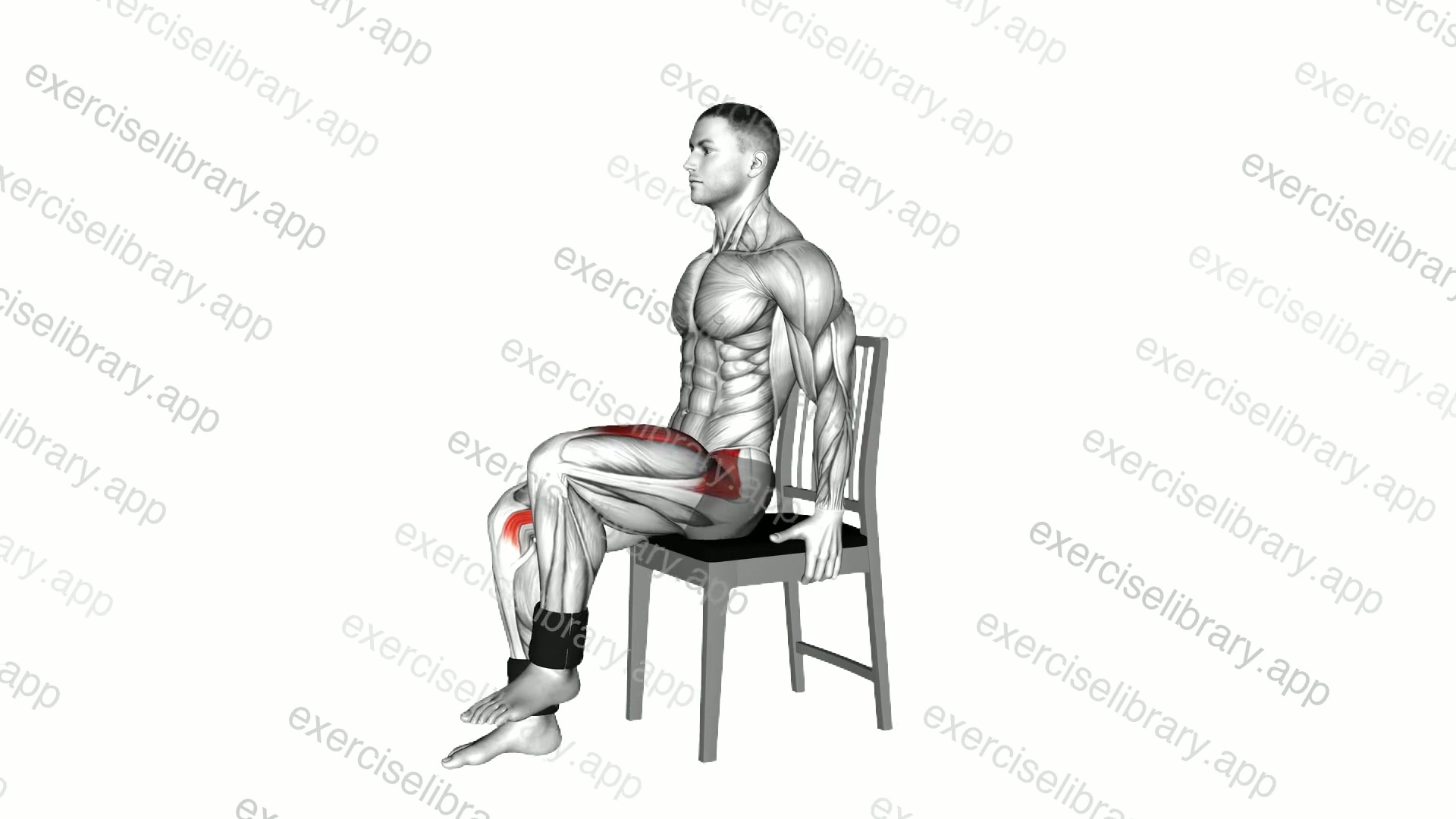 Weighted Seated Marching on a Chair demonstration