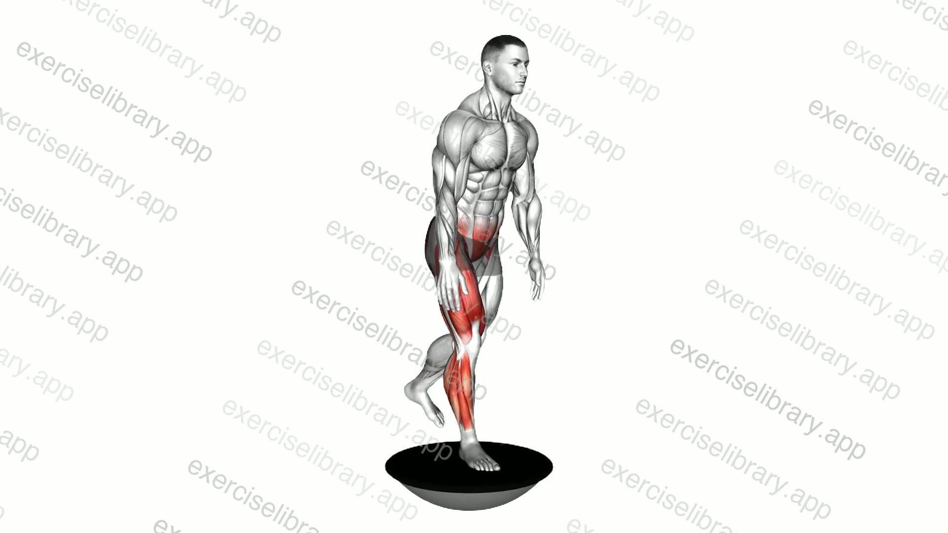 Bosu Ball Single Leg Deadlift demonstration