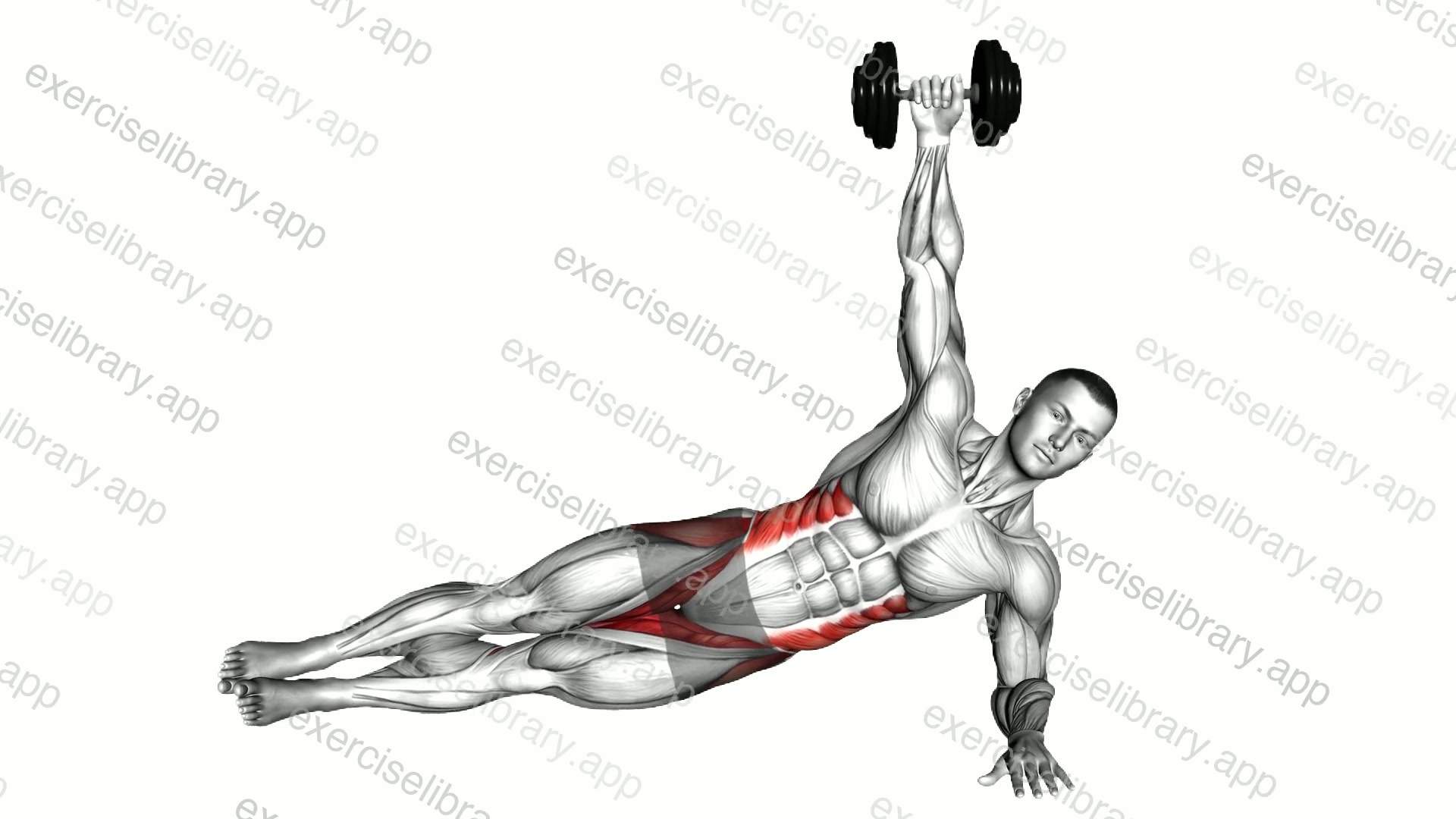 Dumbbell Side Plank demonstration