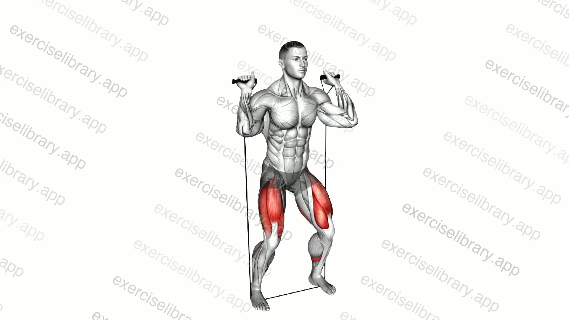 Band Squat demonstration