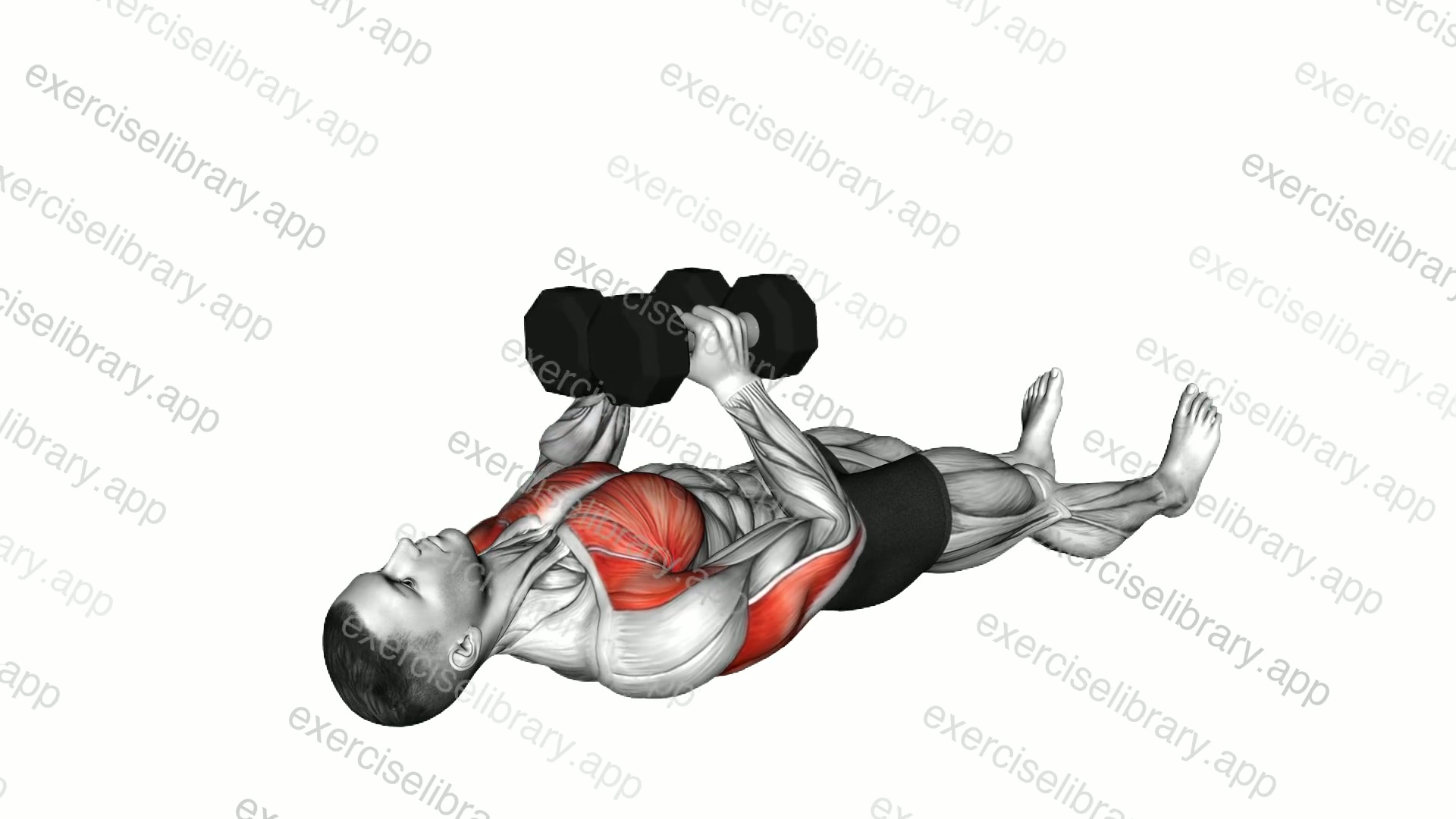 Dumbbell Lying Floor Squeeze Press demonstration