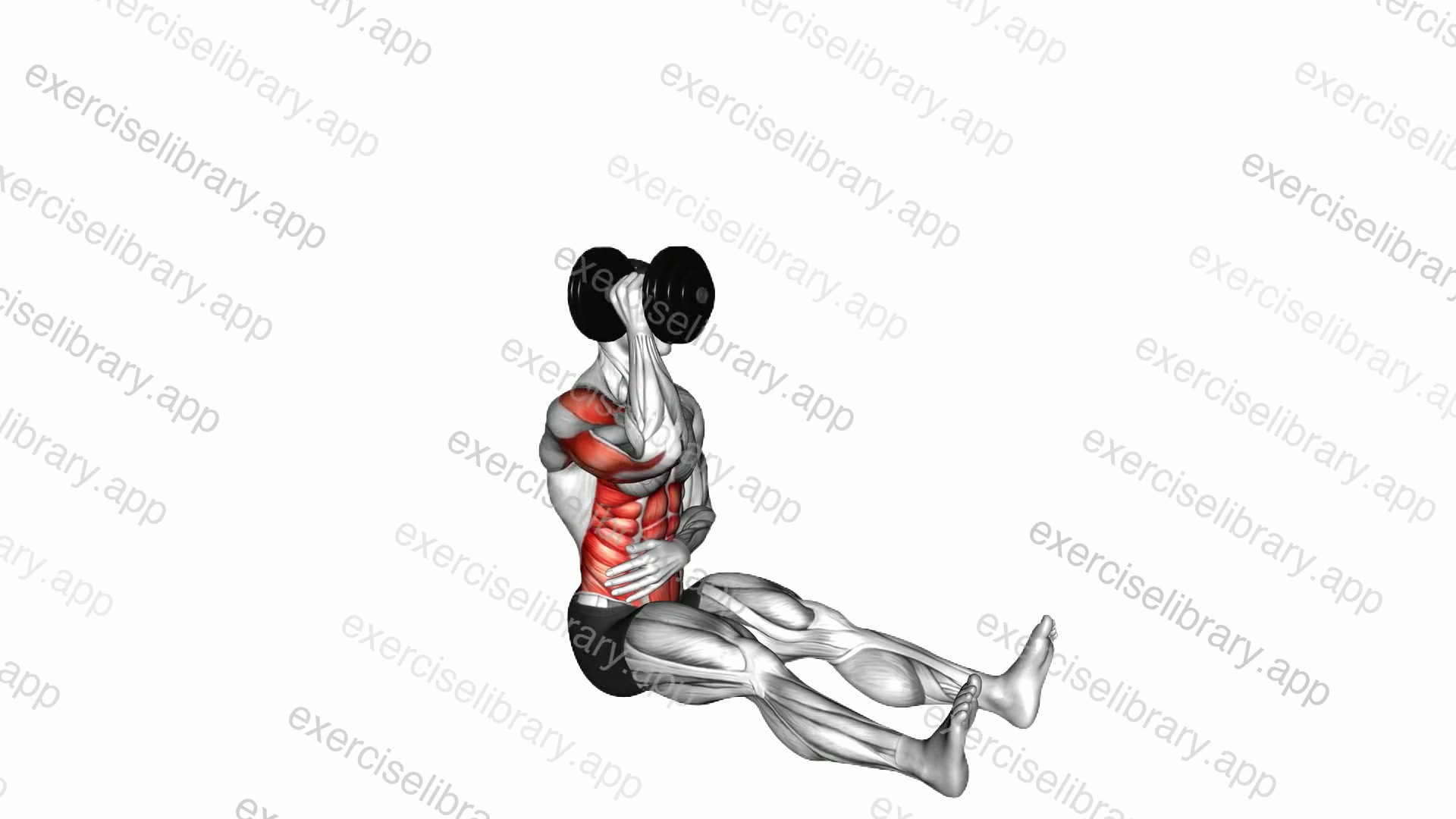 Dumbbell Single Arm Z Press demonstration
